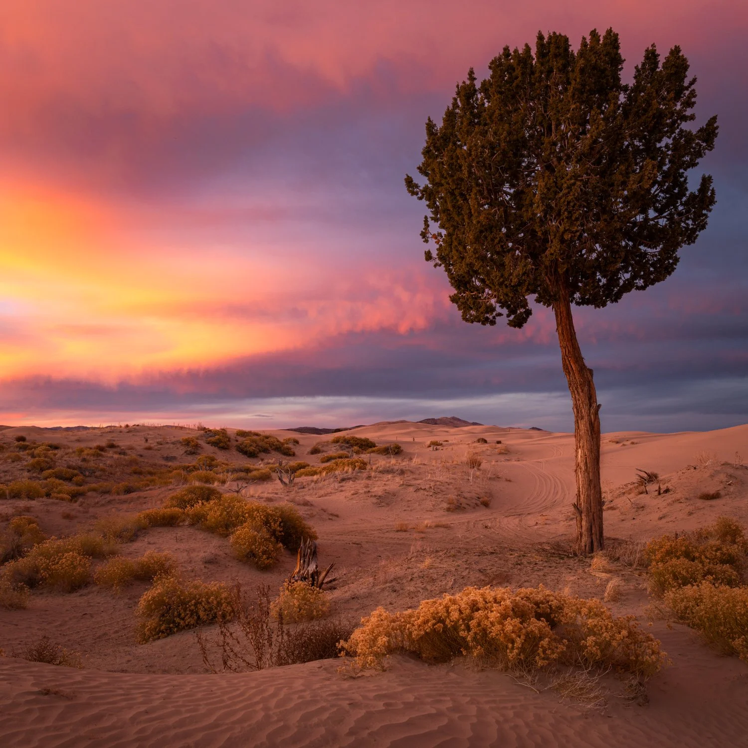 LIttle Sahara (355 of 381)-Edit.jpg