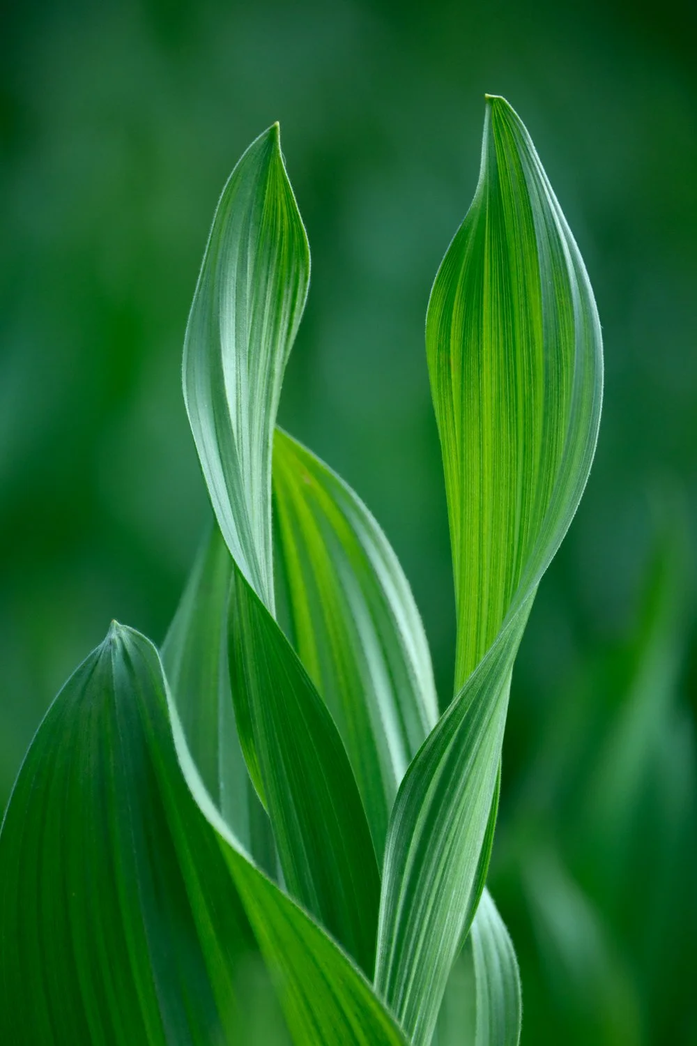 2025-06-20 13-49-27 (B,R1,S1)-Edit.jpg