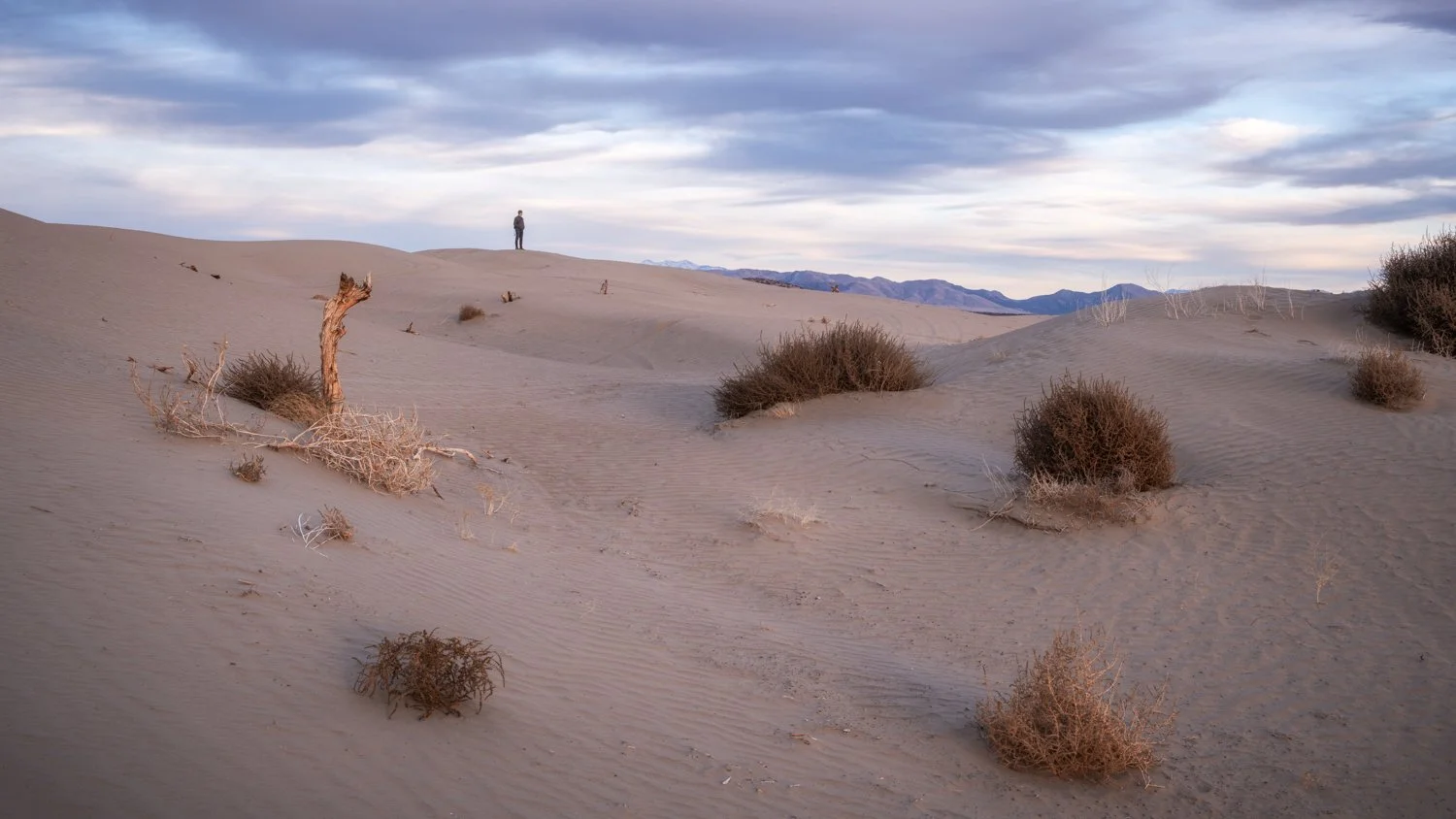 LIttle Sahara (151 of 381)-Edit.jpg