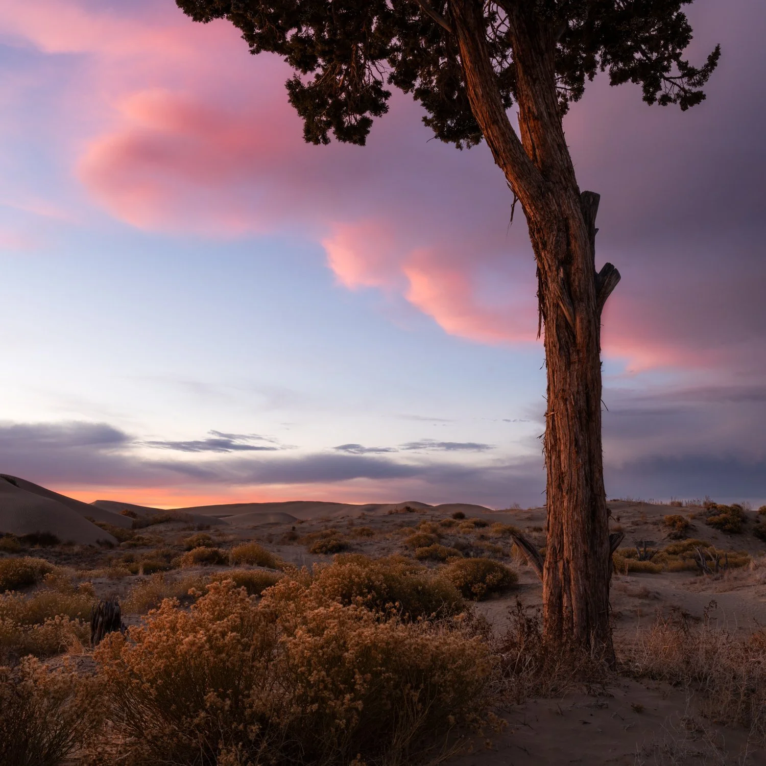 LIttle Sahara (365 of 381)-Edit.jpg