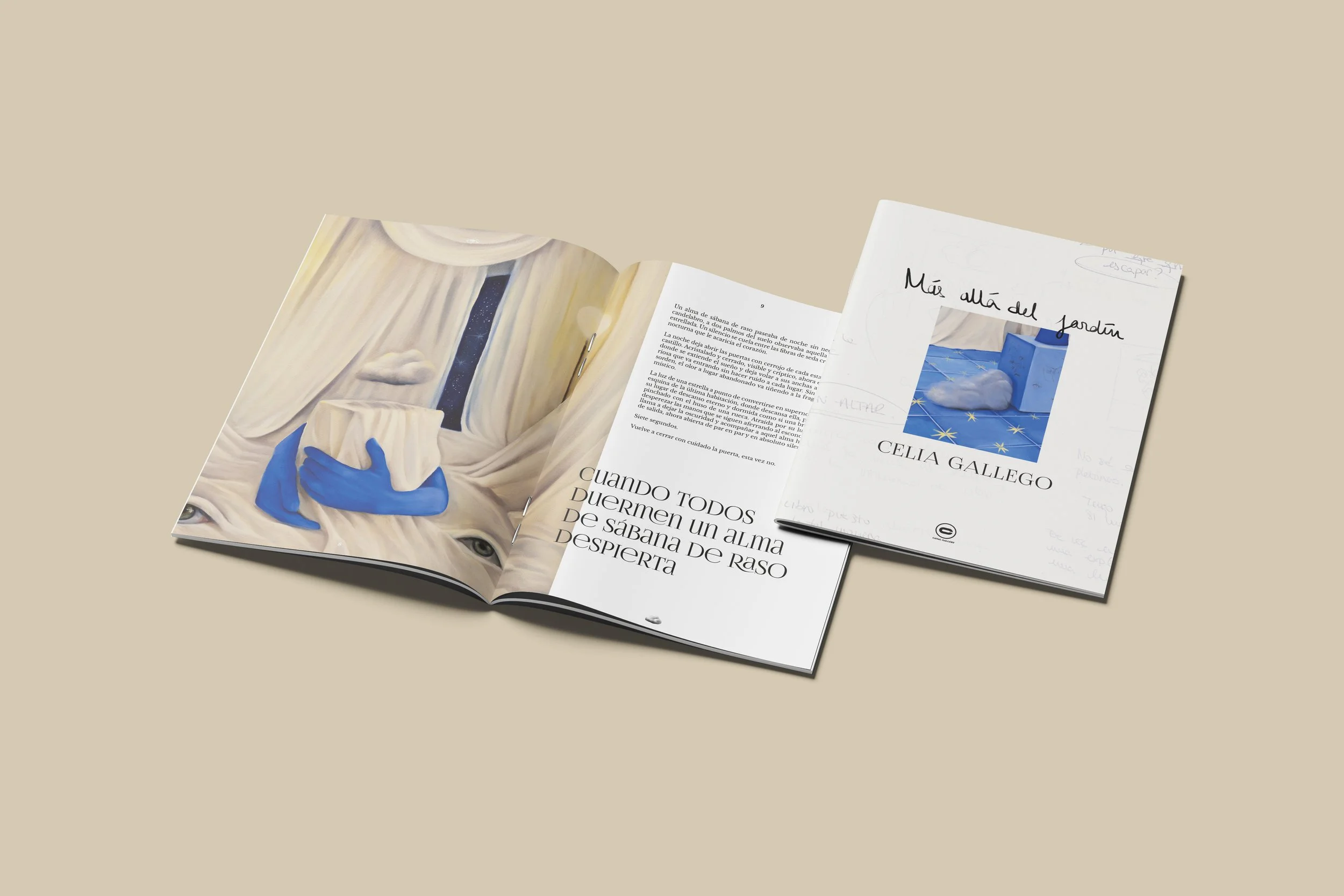 Más allá del Jardín - Diario