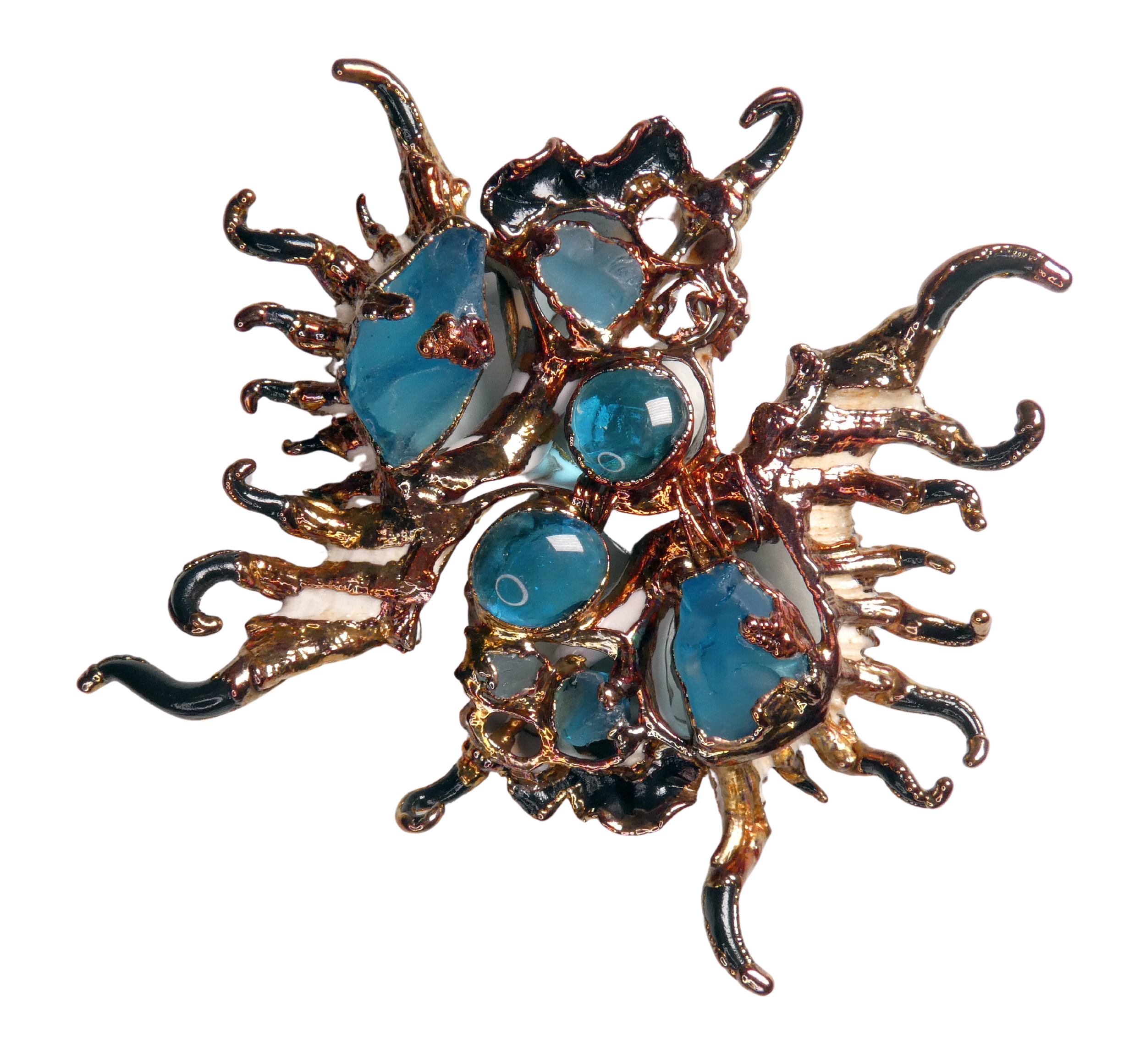 Symbiosis