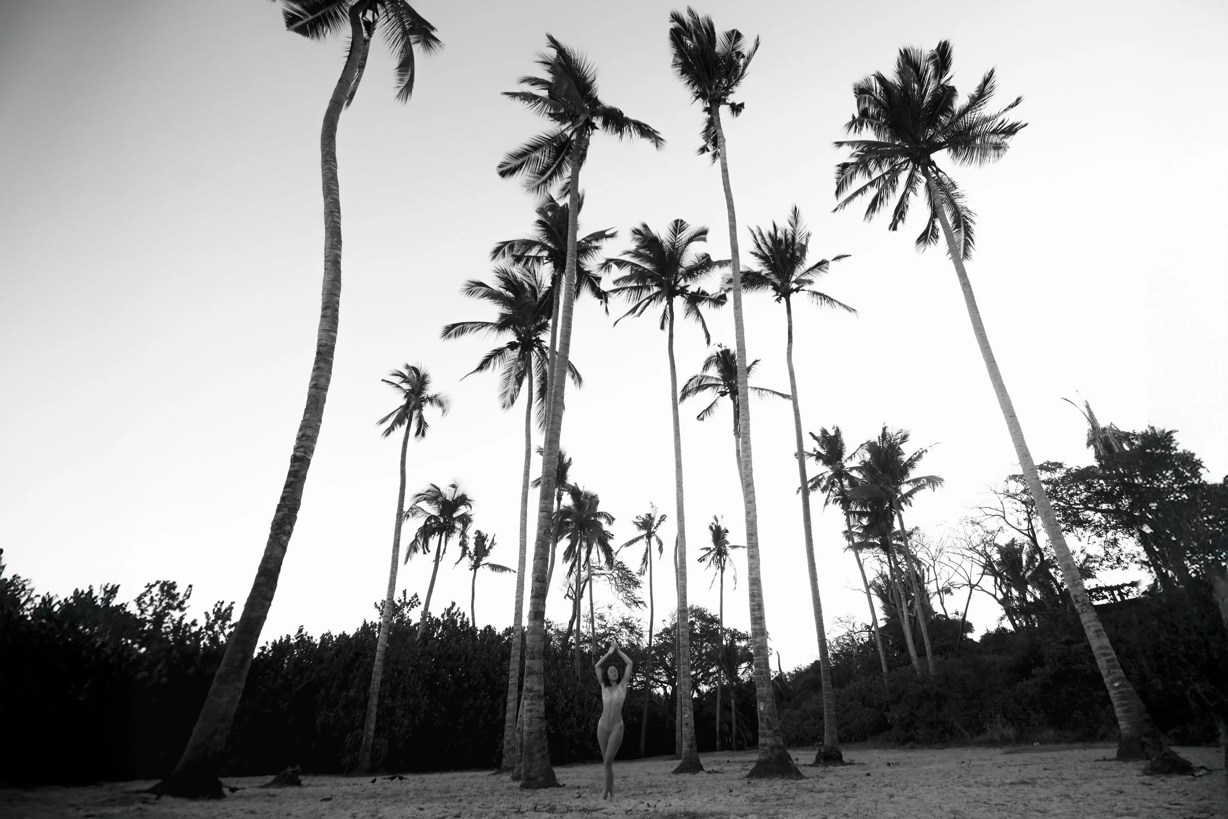 bellabroughphoto -2.JPG