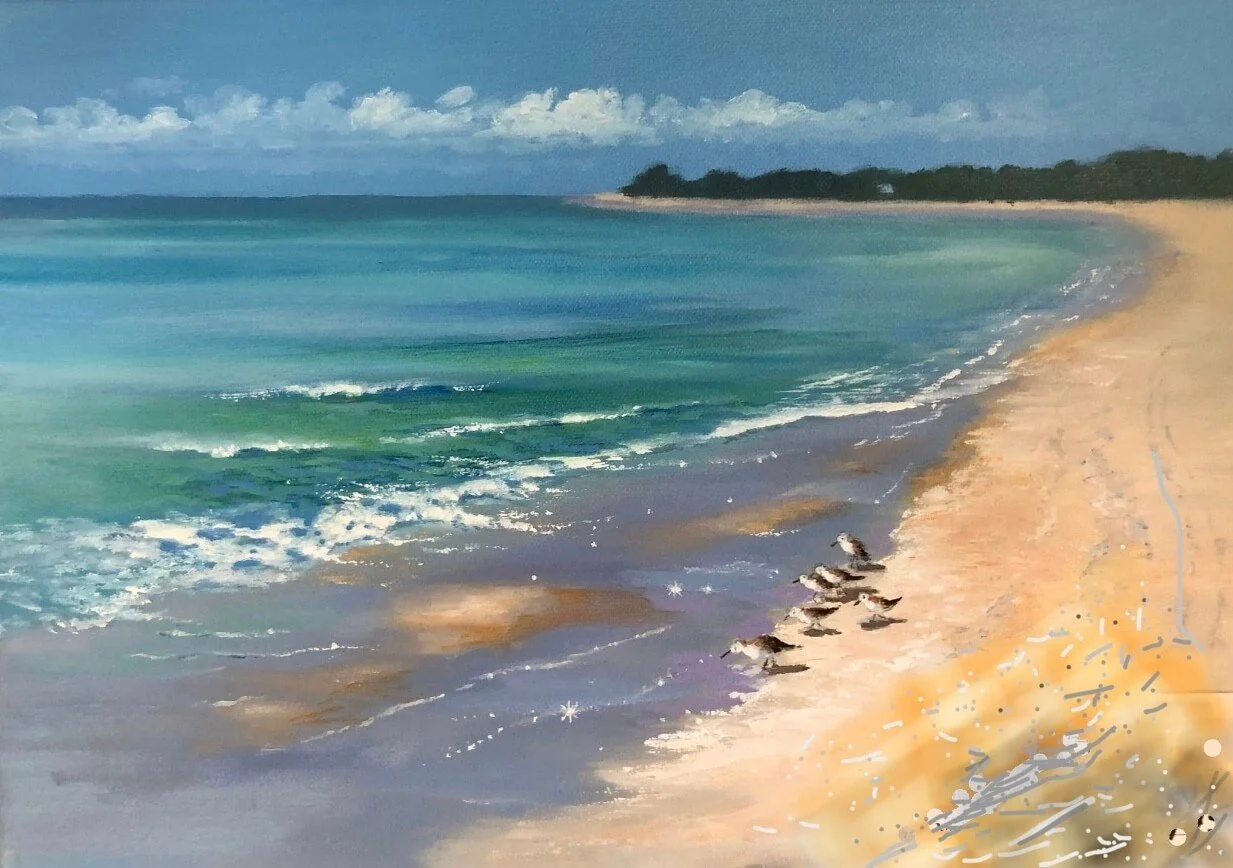 sandpipers birds by ocean oil beach