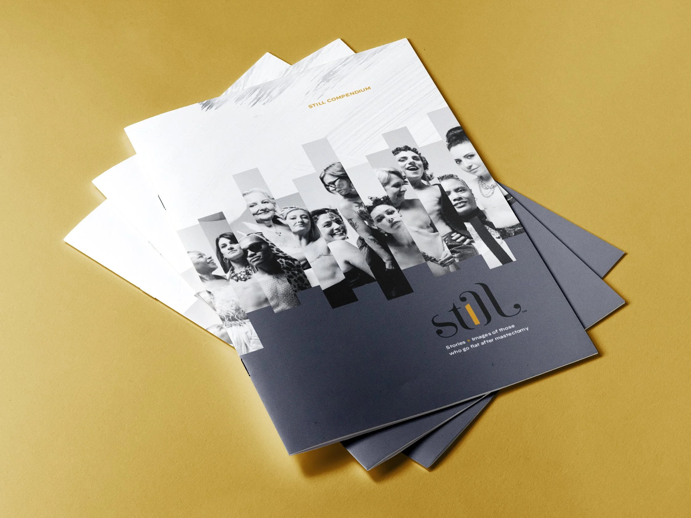 Still Compendium HCP / Print