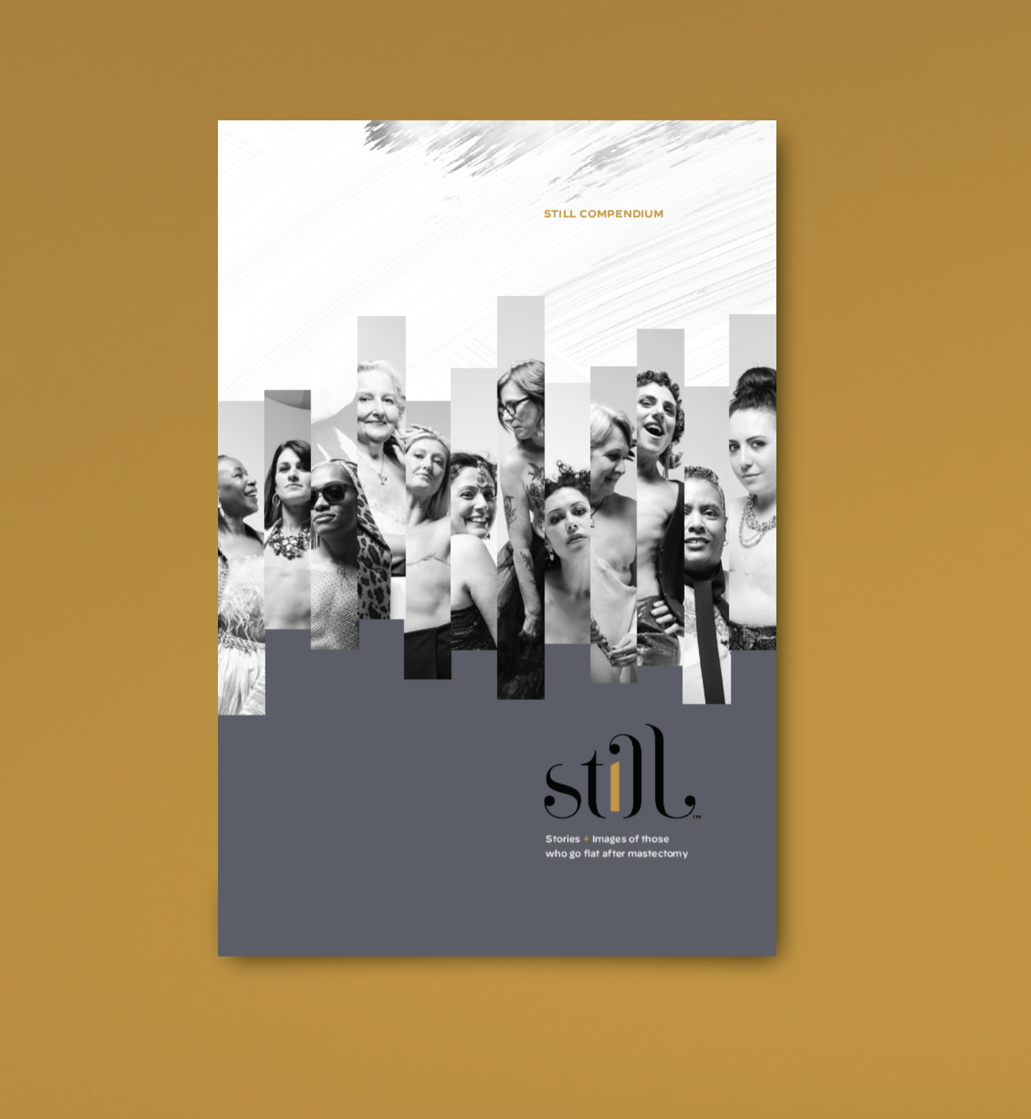 Still Compendium / Digital Download