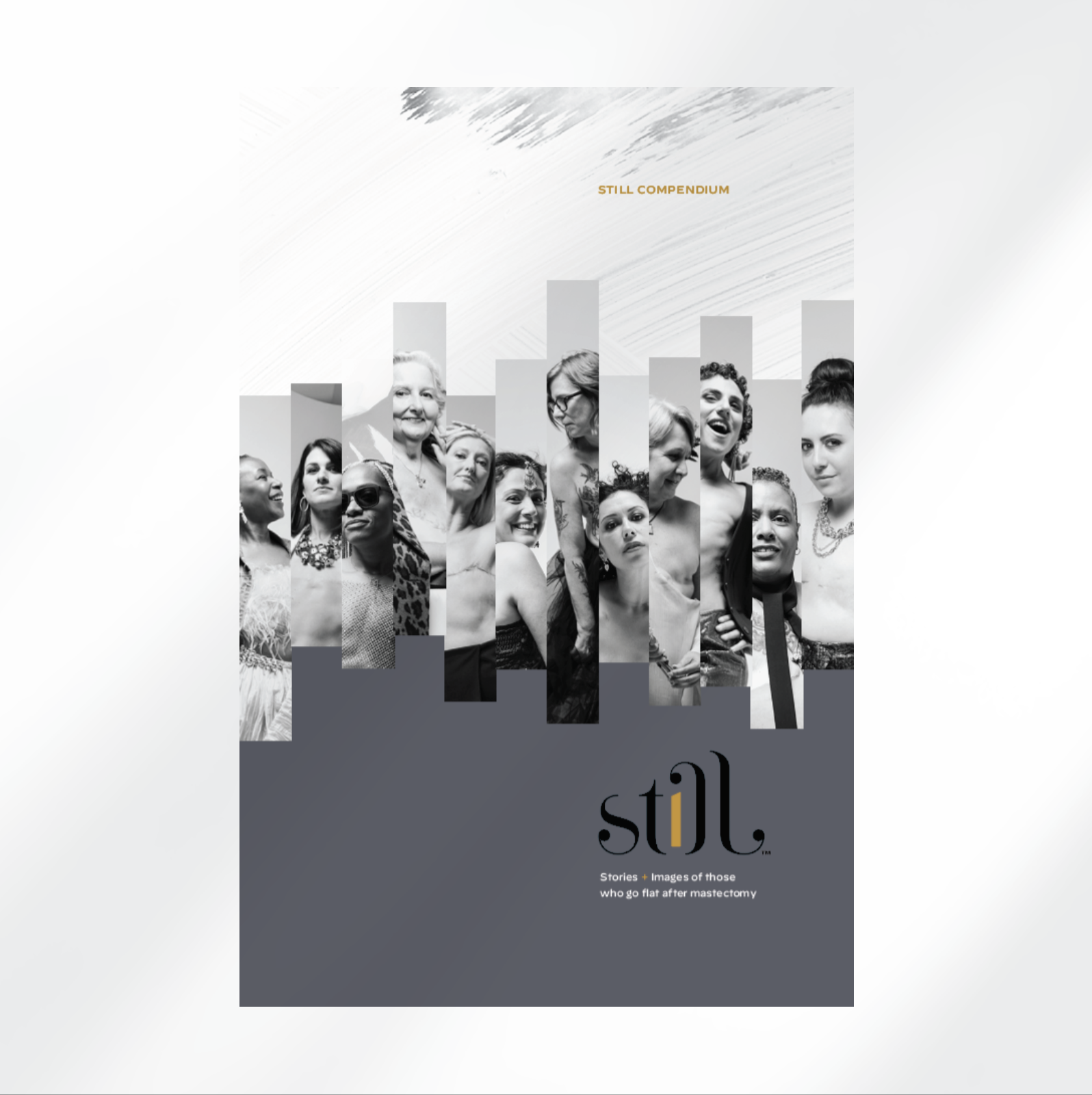Still Compendium HCP / Digital Download