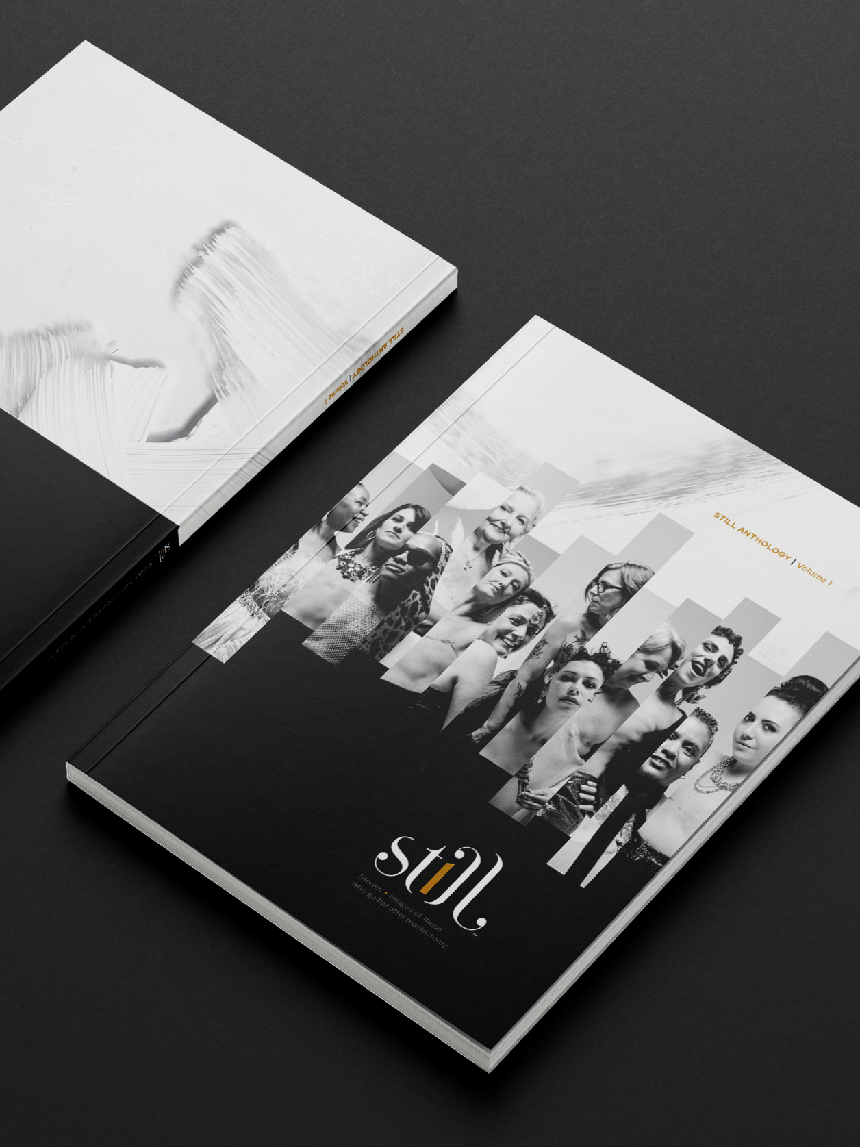 Still Anthology, Volume 1