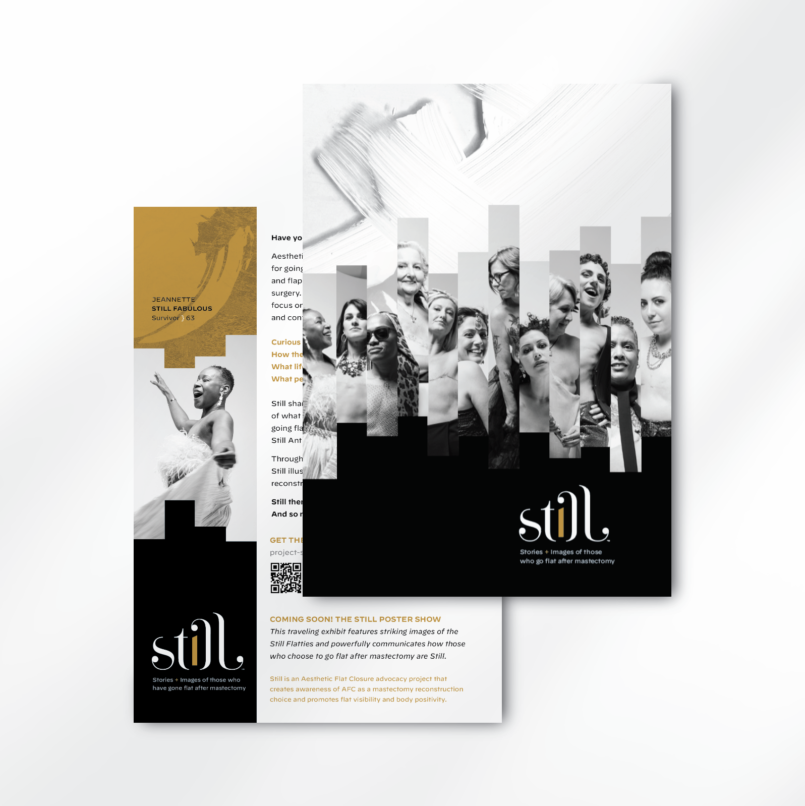 Still Info Cards HCP (12-pack)