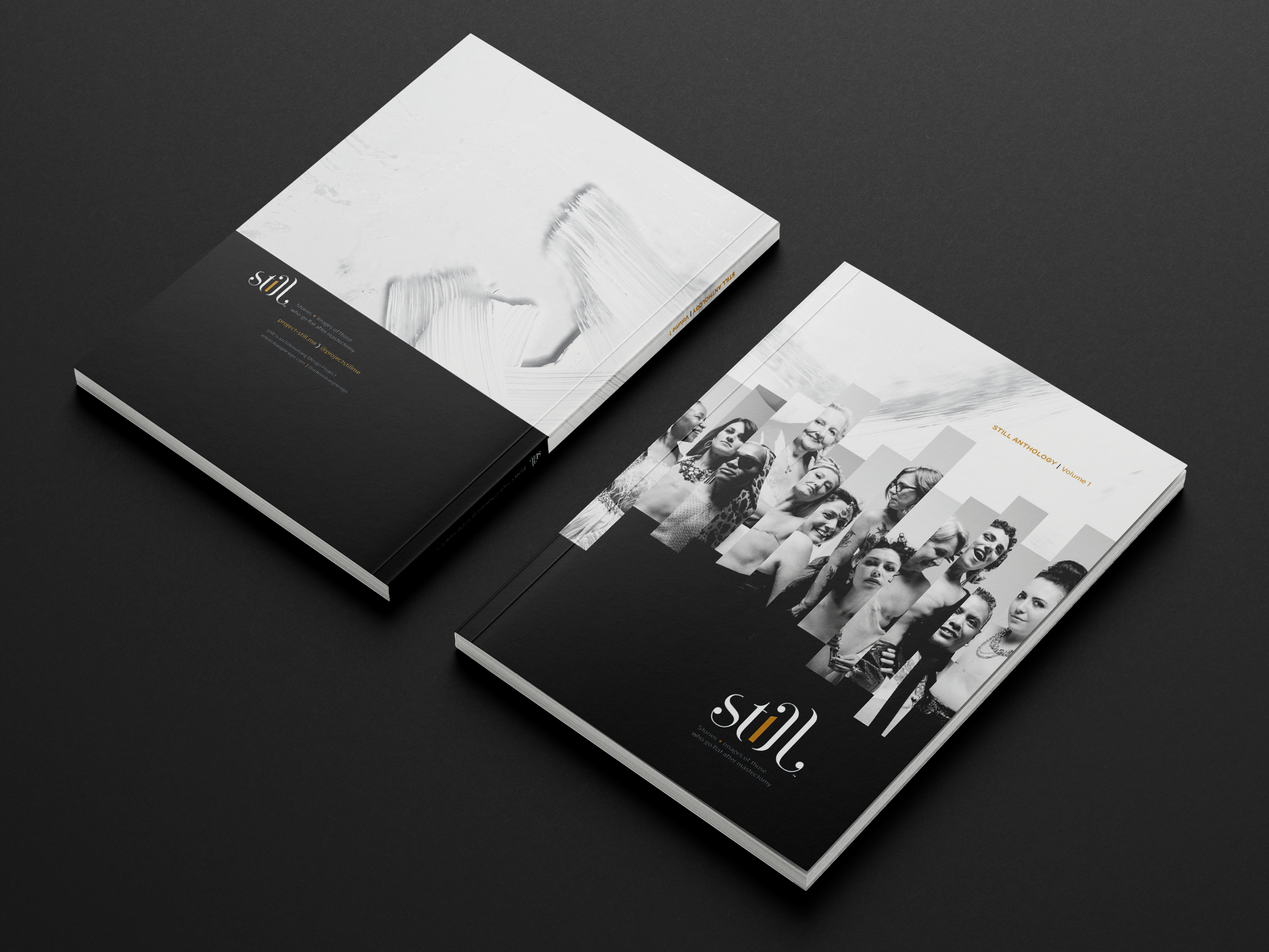 Still Anthology, Volume 1