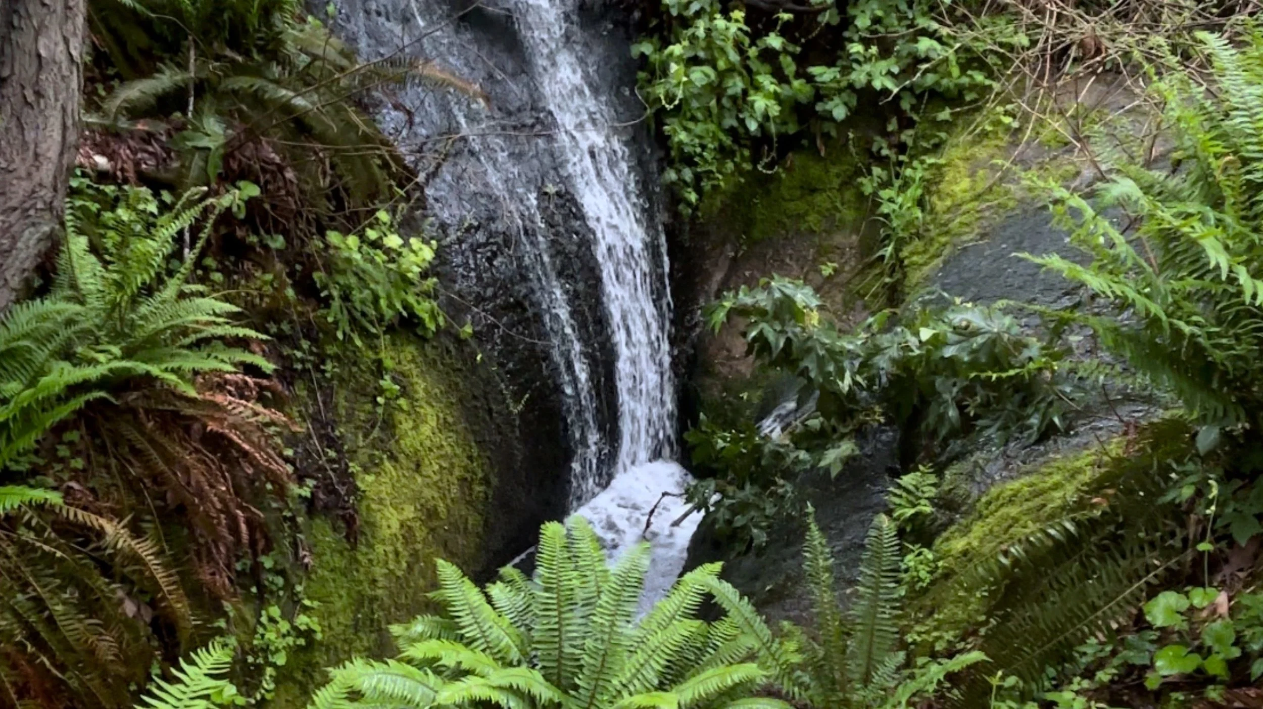 An Adventurous Scavenger Hunt for falls