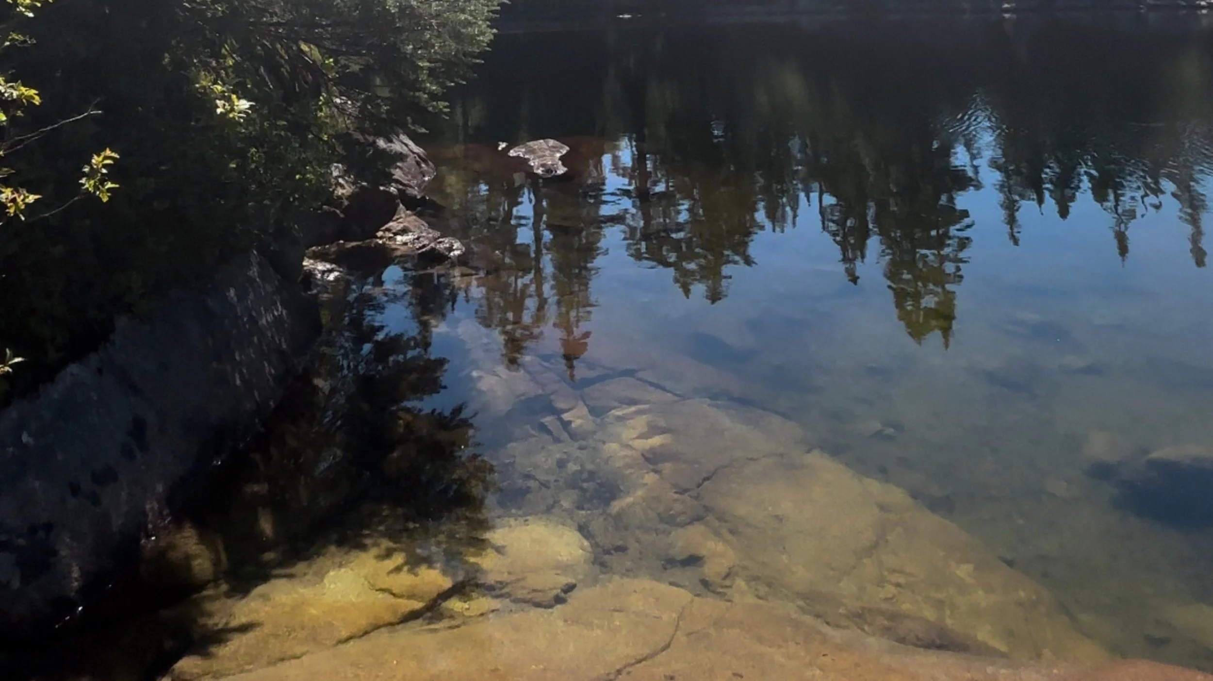 Find A Majestic Retreat Surrounded by Nature