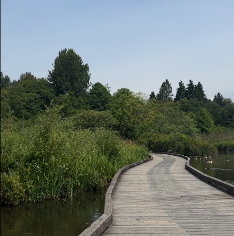 Hidden Haven: Discover Burnaby’s Serene Bird Sanctuary Tucked Away from the City Buzz
