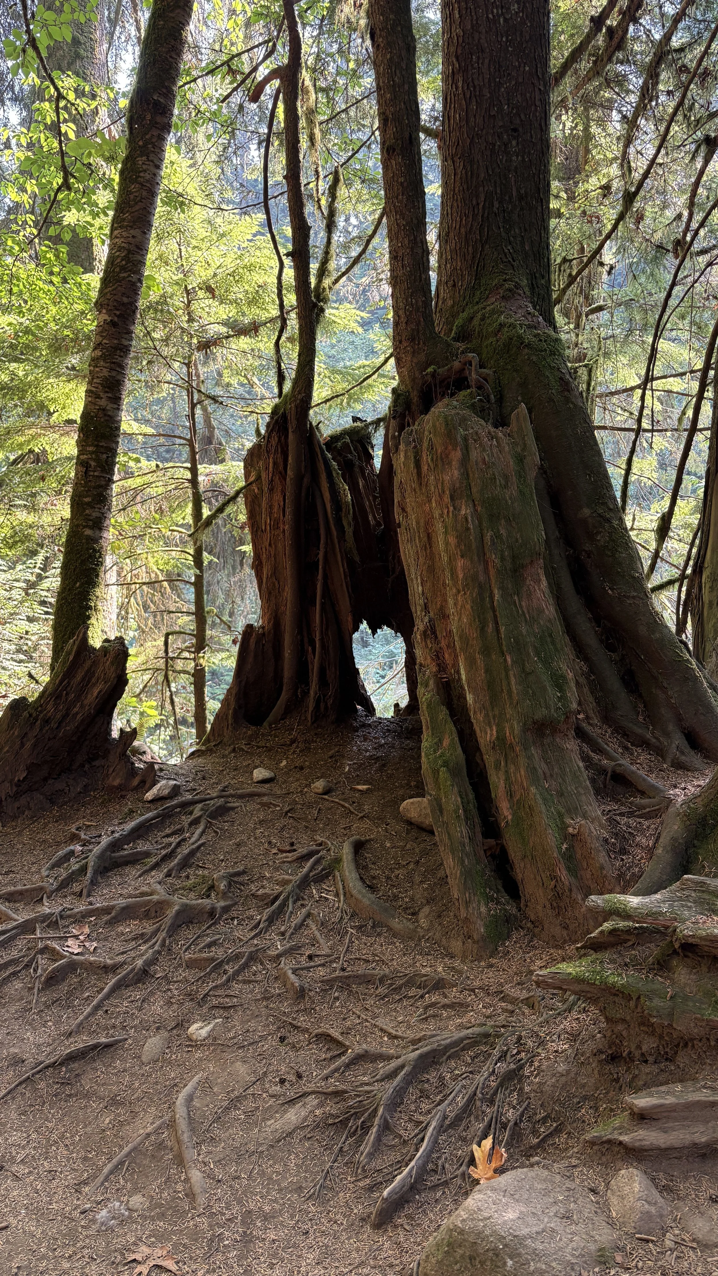 The Secret River Escape Hiding in North Vancouver