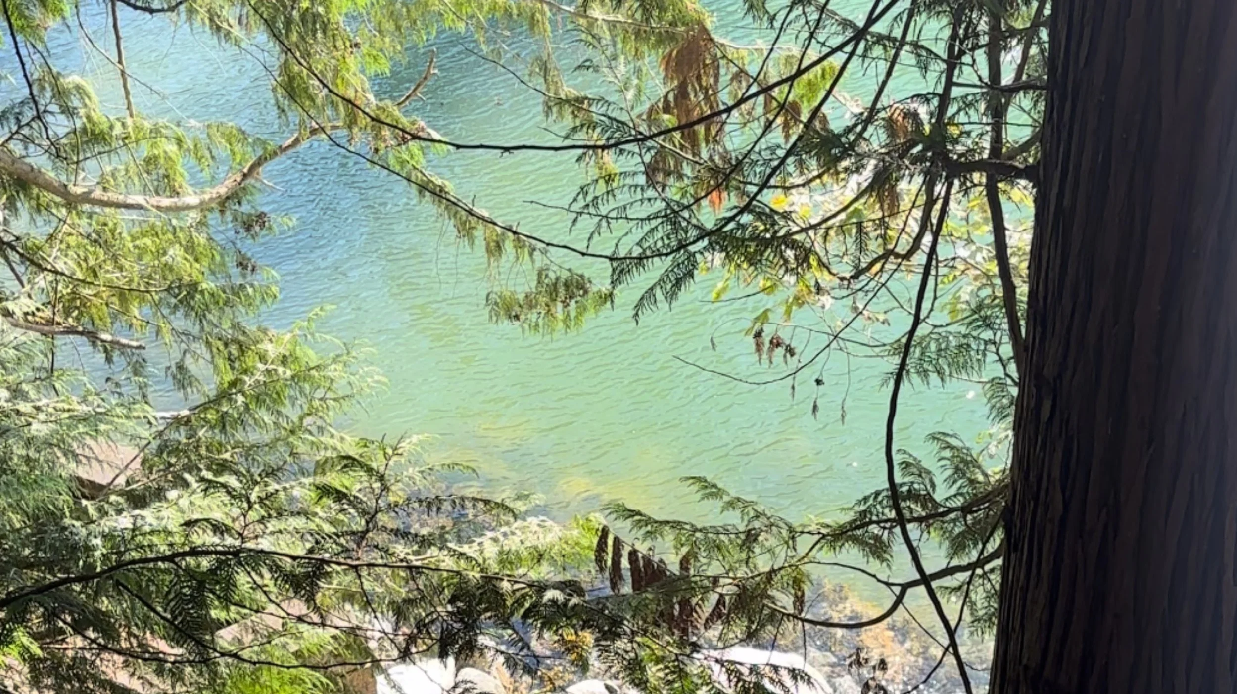 Discover Solitude at a Serene Escape in a Picturesque Cove