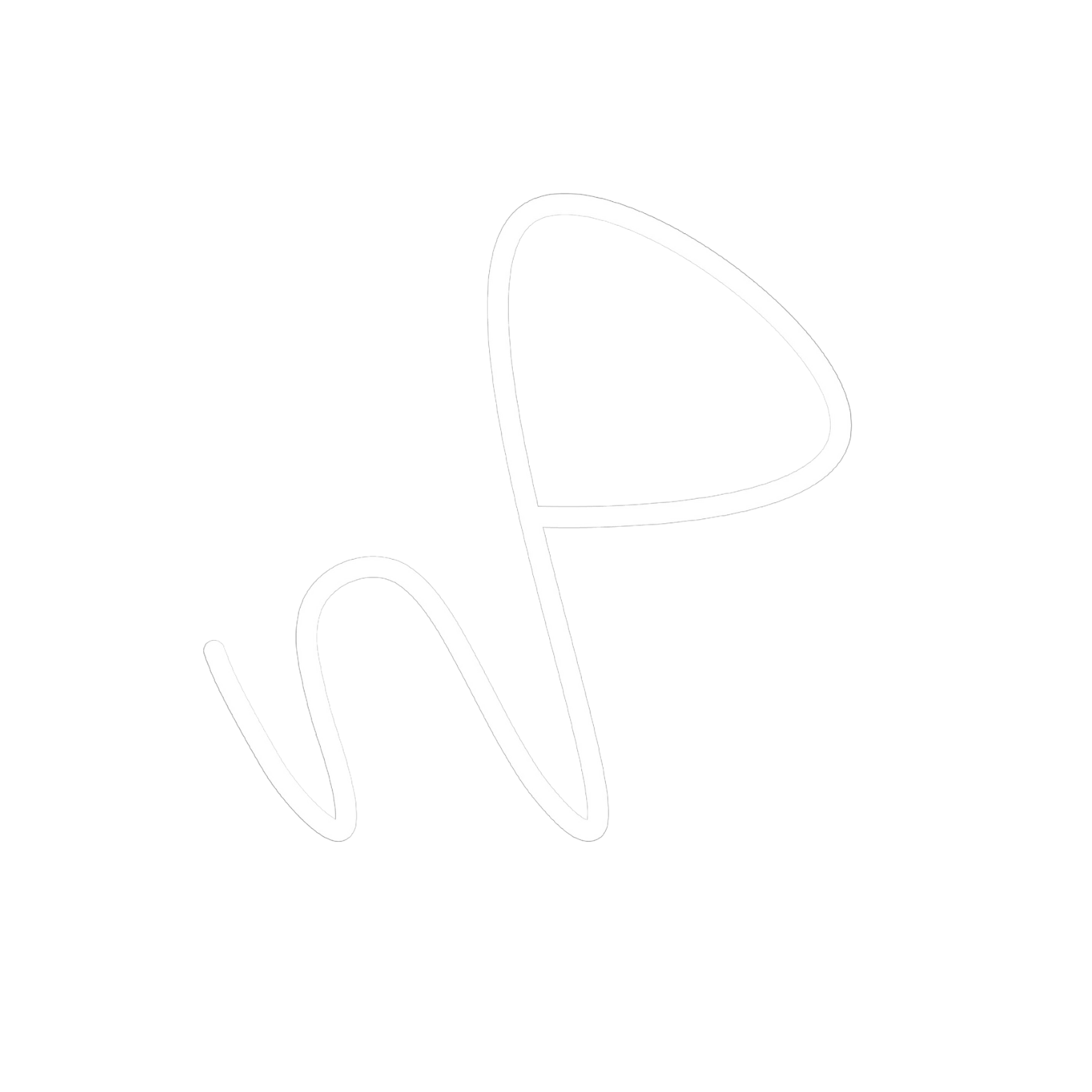 Appointments — NP PERFORMANCE