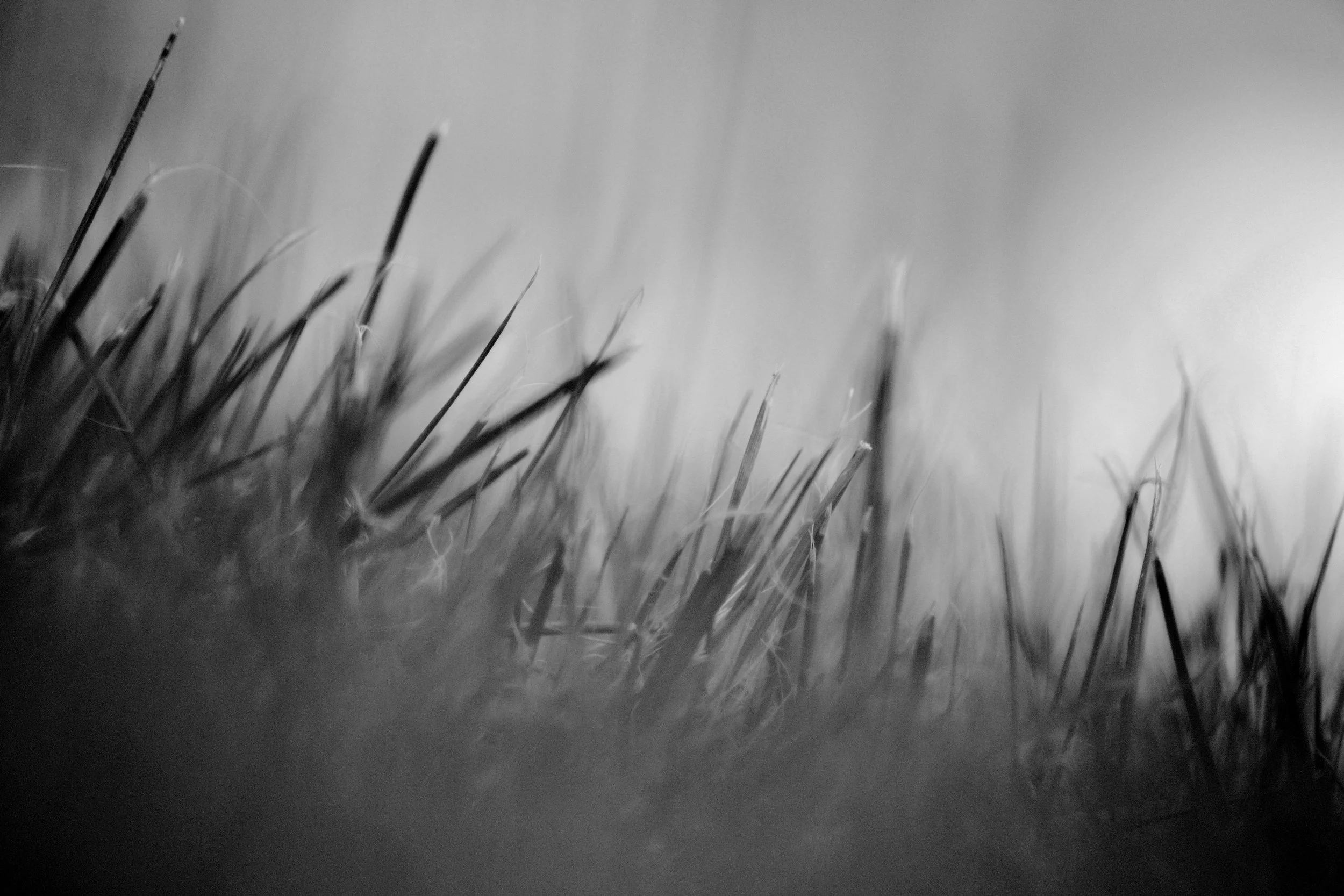 Blades (Mono)