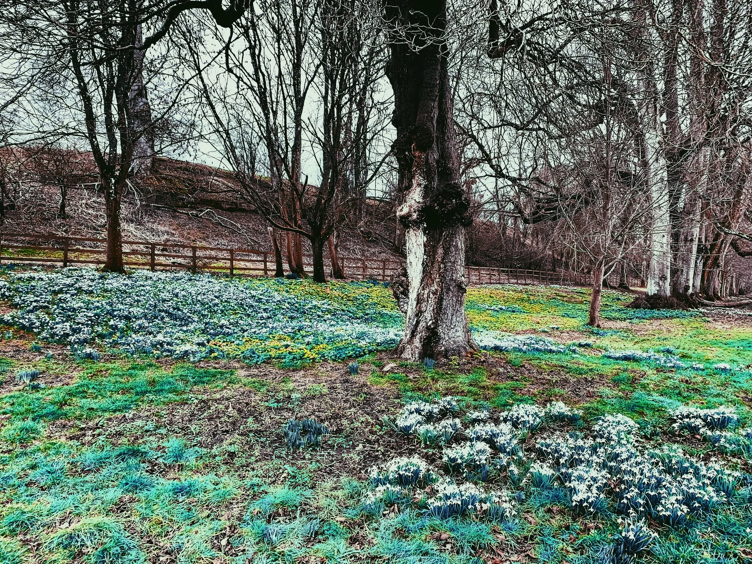 Boxford
