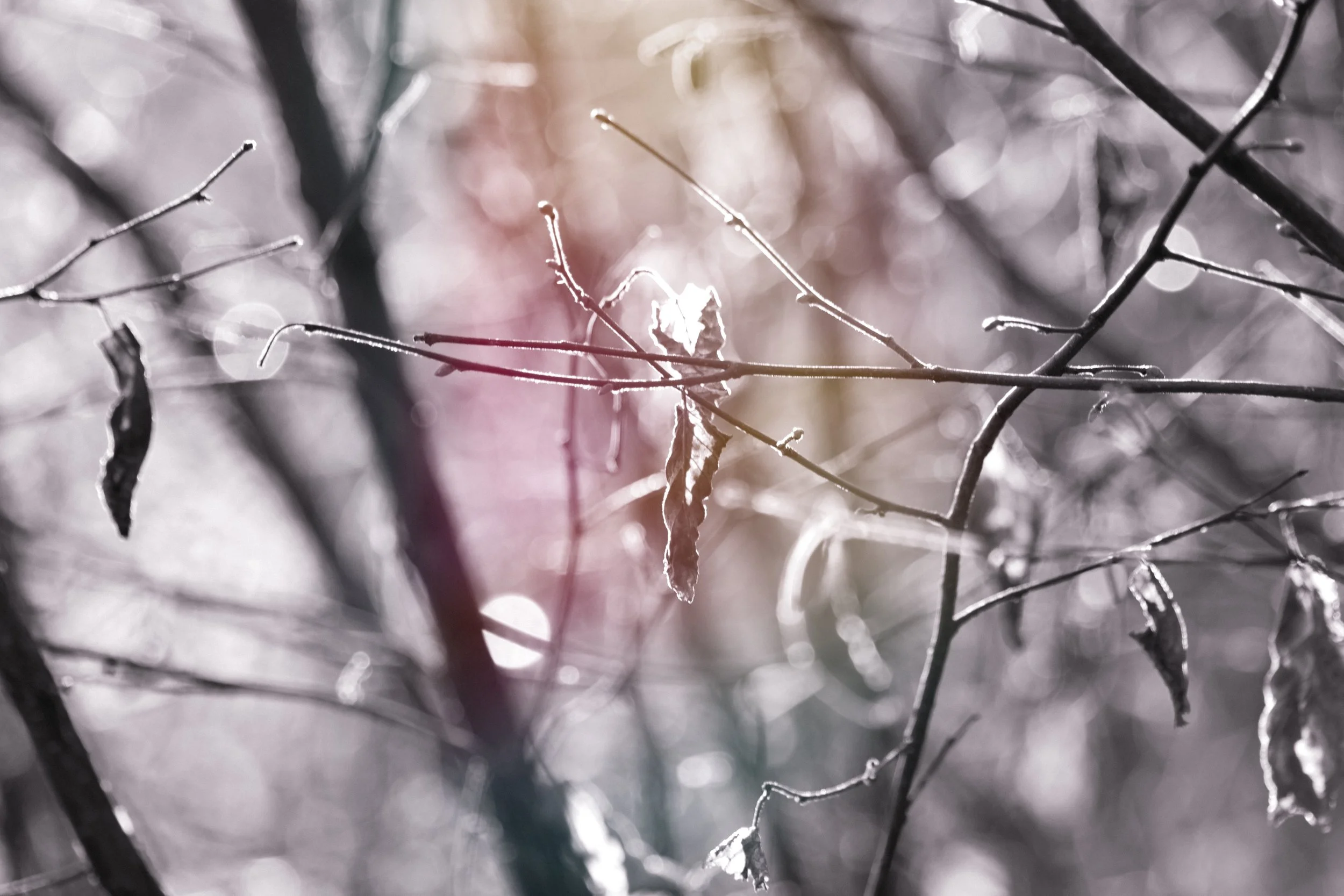 Light Leak
