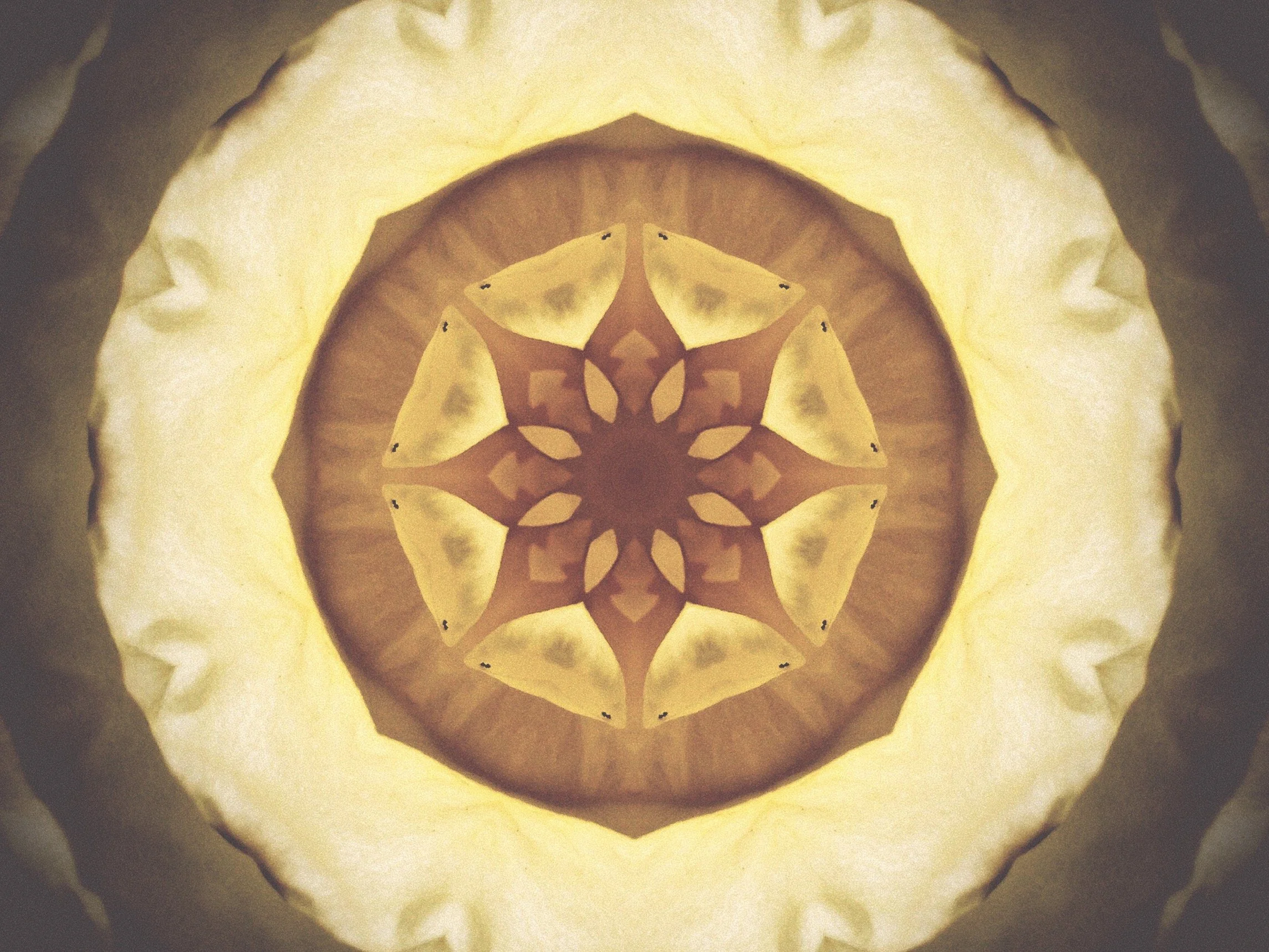 The Inner Circle
