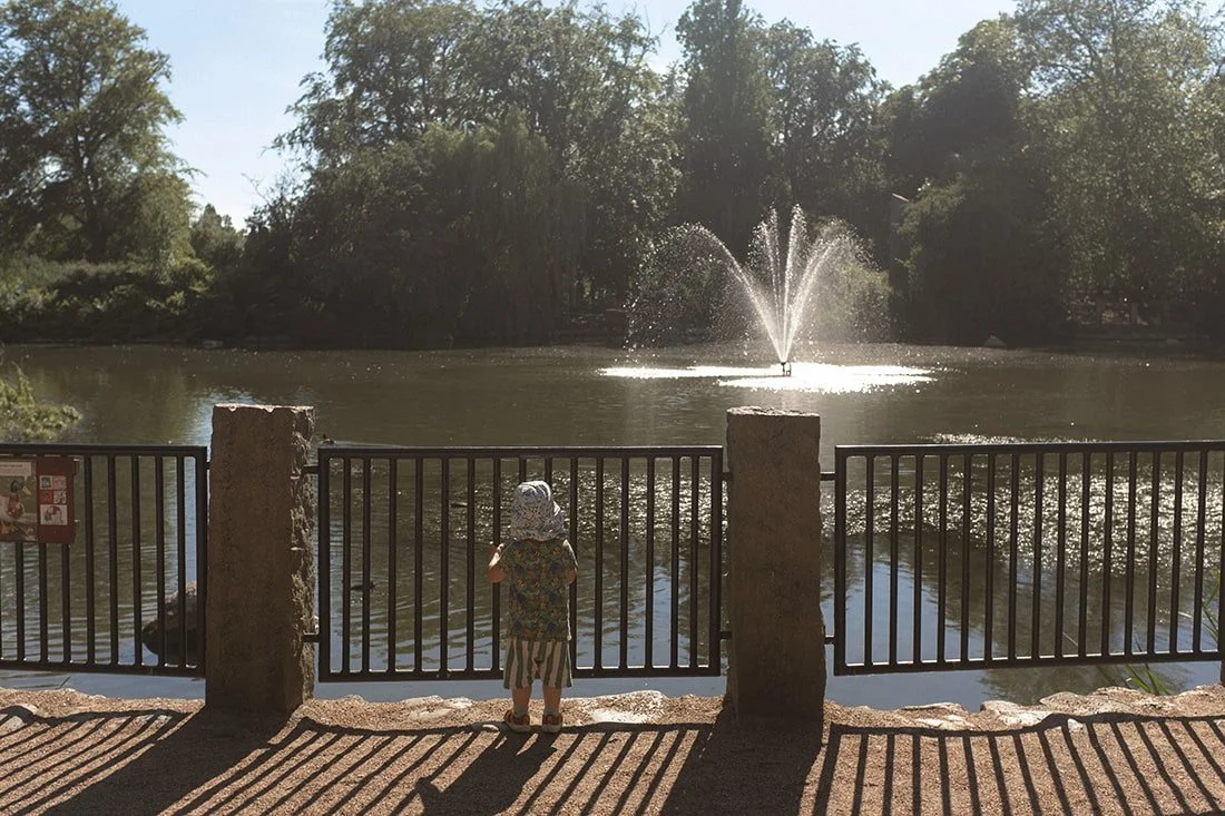 Stadsparken Lund (1).jpg