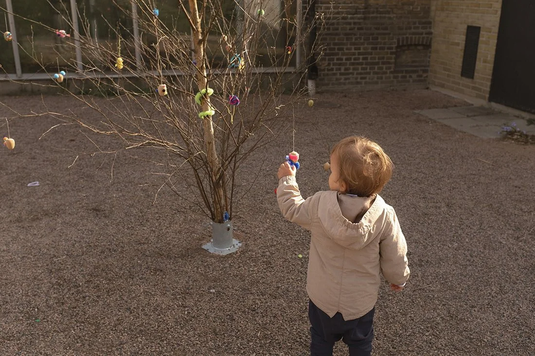 Botaniska tradgard Lund (3).jpg