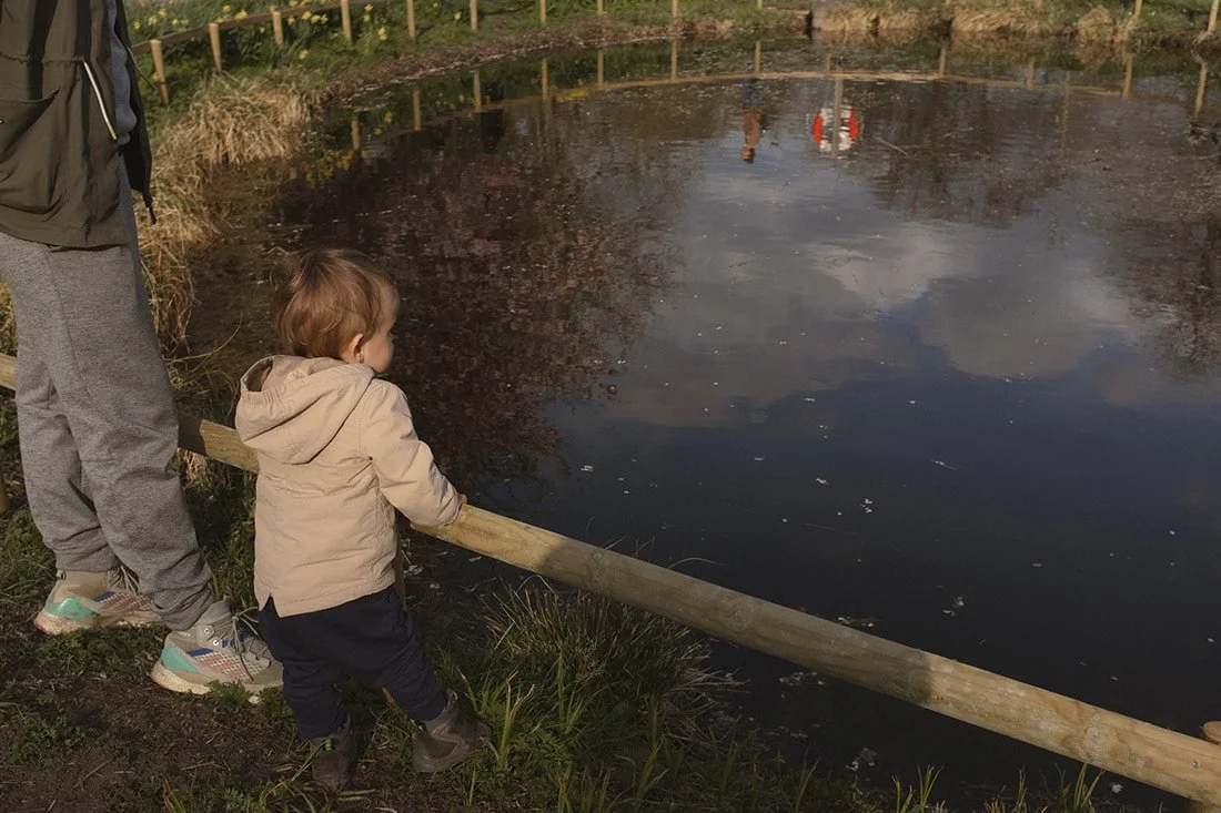 Botaniska tradgard Lund (4).jpg