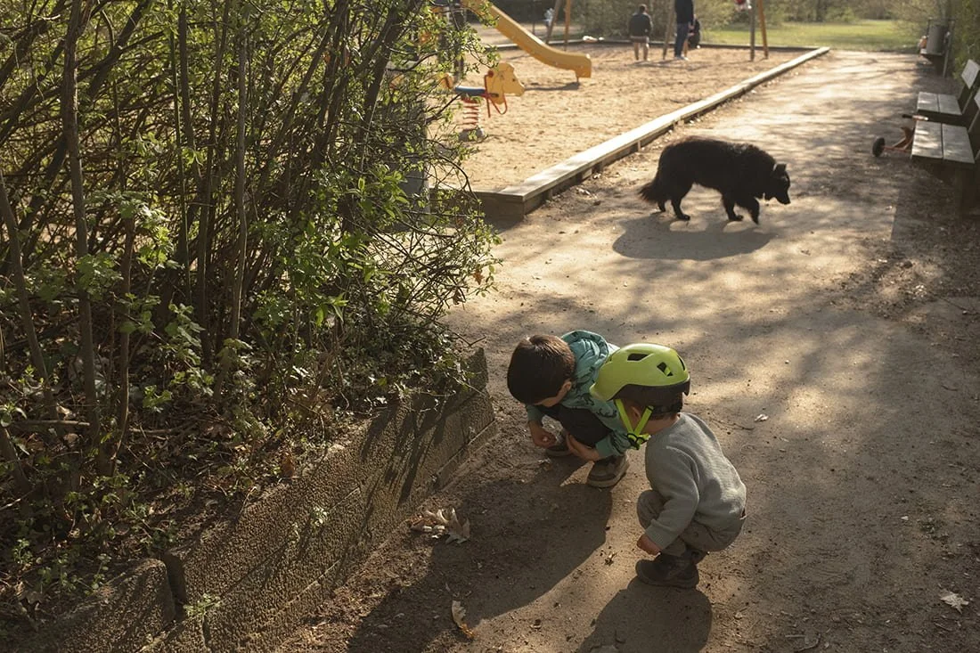Lekplats Decemberfältet Lund (1).jpg