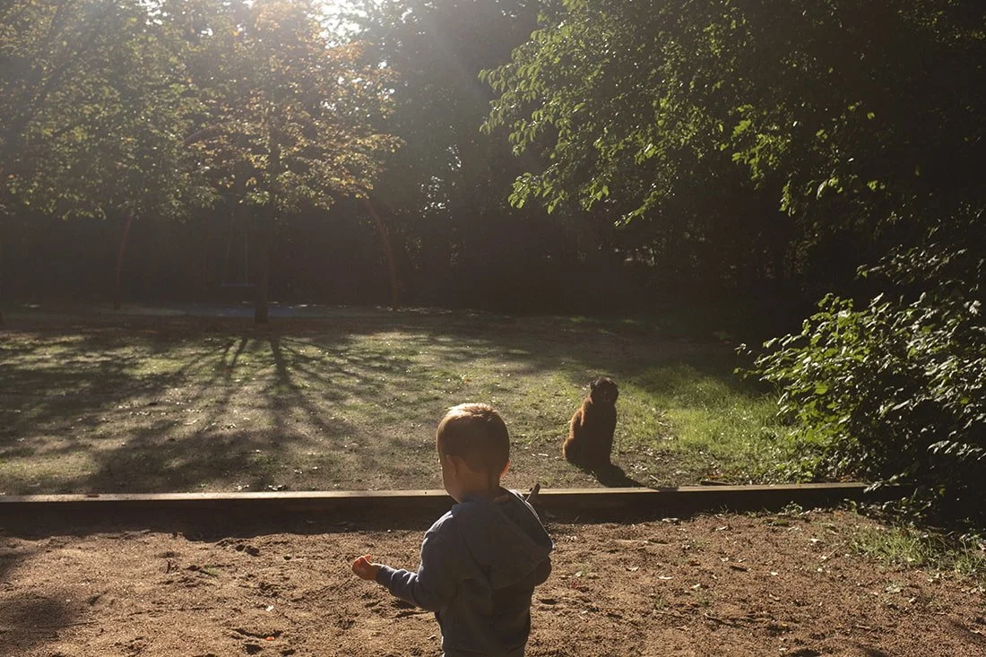 Lekplats Tunnellekplatsen Lund (3).jpg