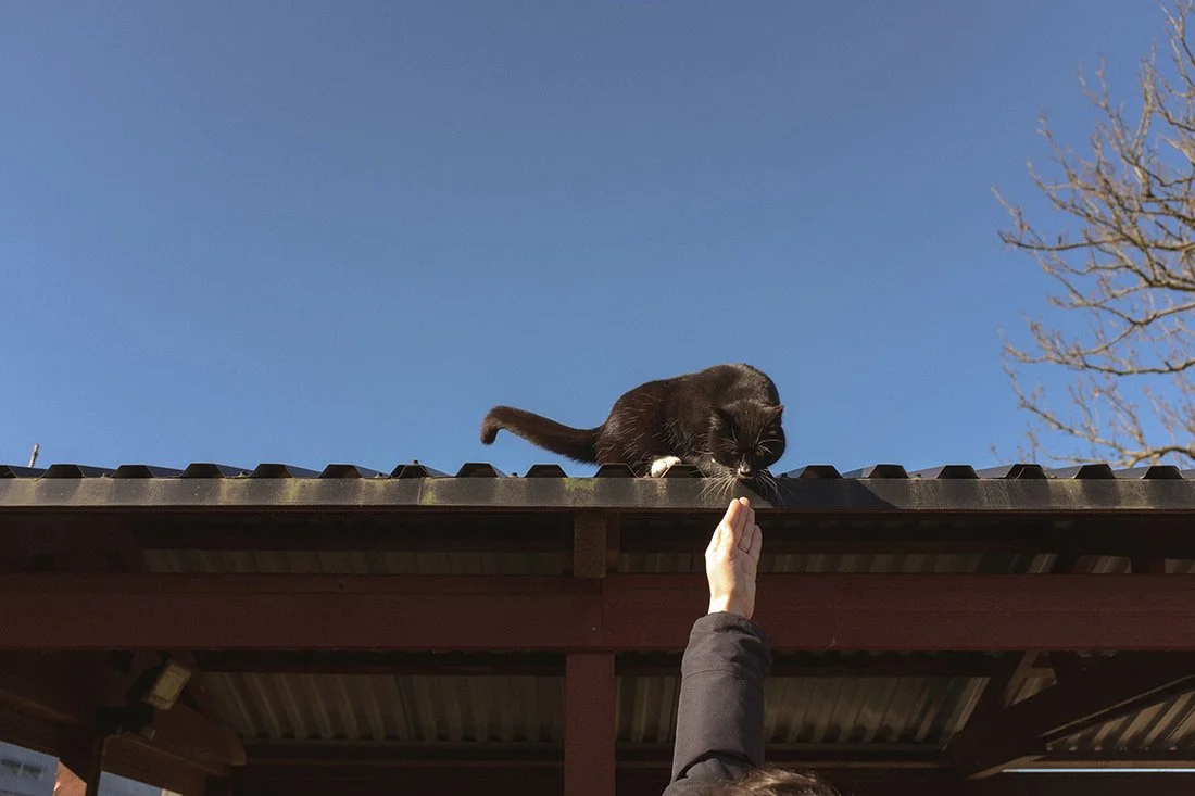 Gunnesbo 4H-gård Lund (1).jpg