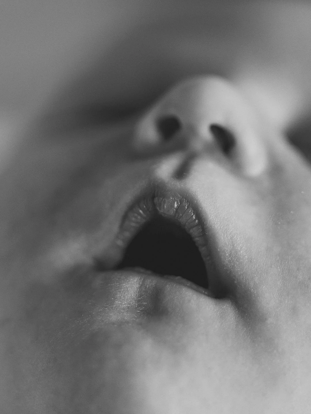 Skane_nyfodd_anna_mihaa_006.jpg