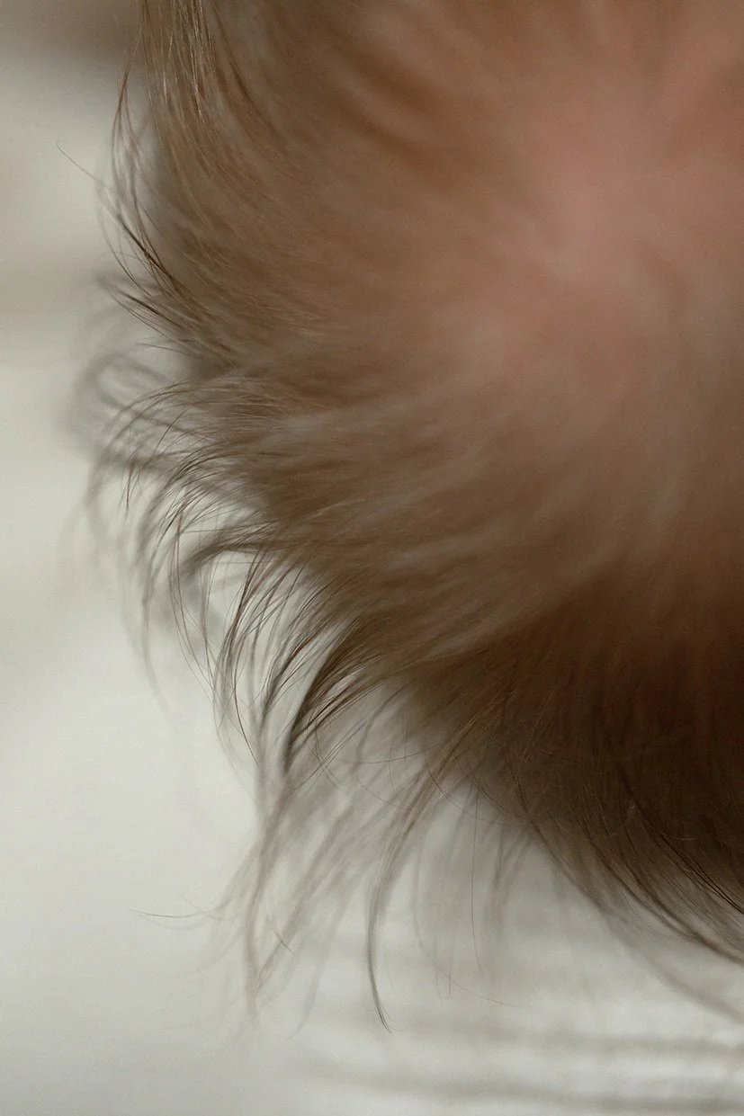 Hemma_nyföddfotografering_Lund (7).jpg