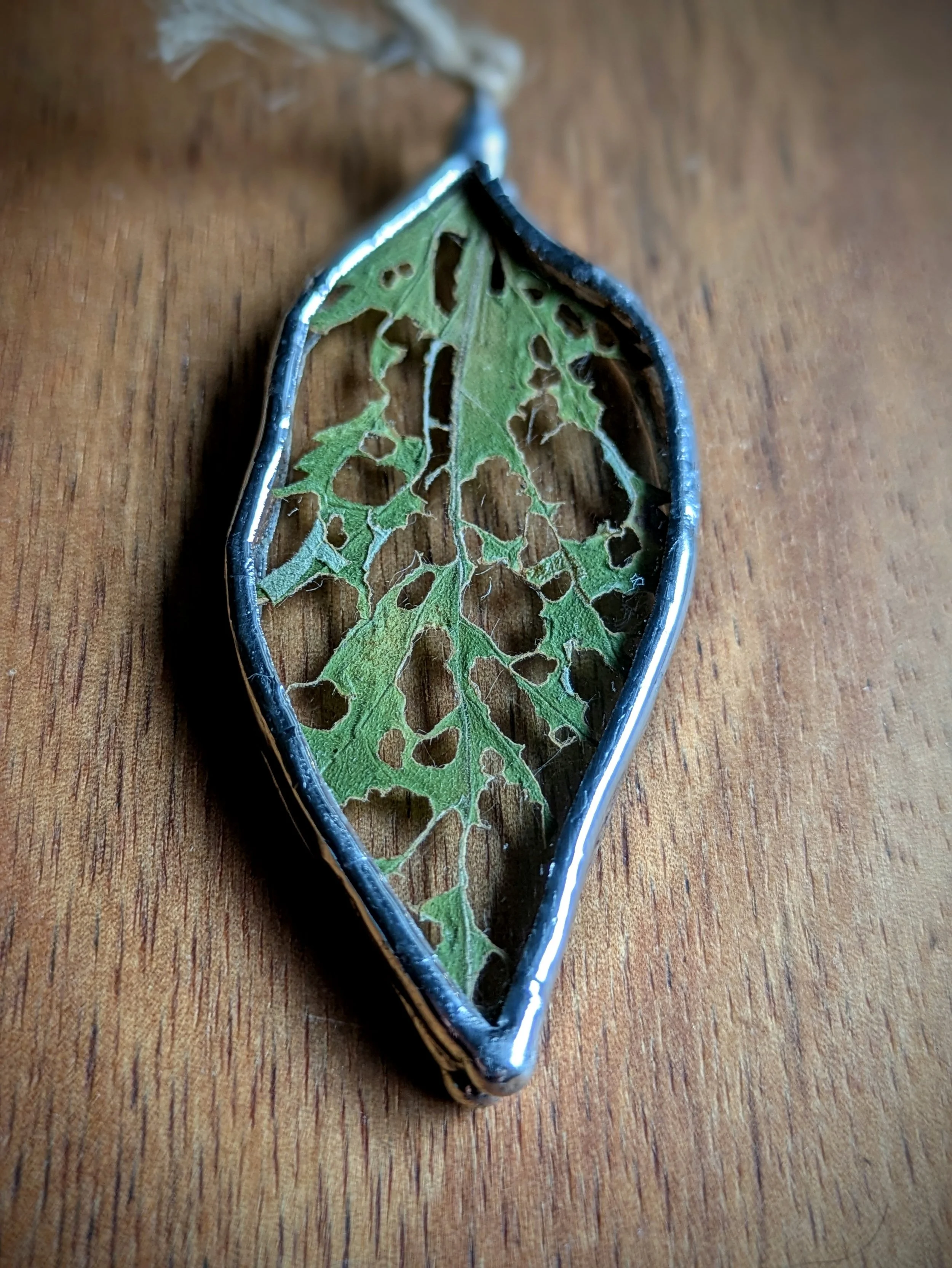 Pendant - Bug Eaten Leaf in clear glass