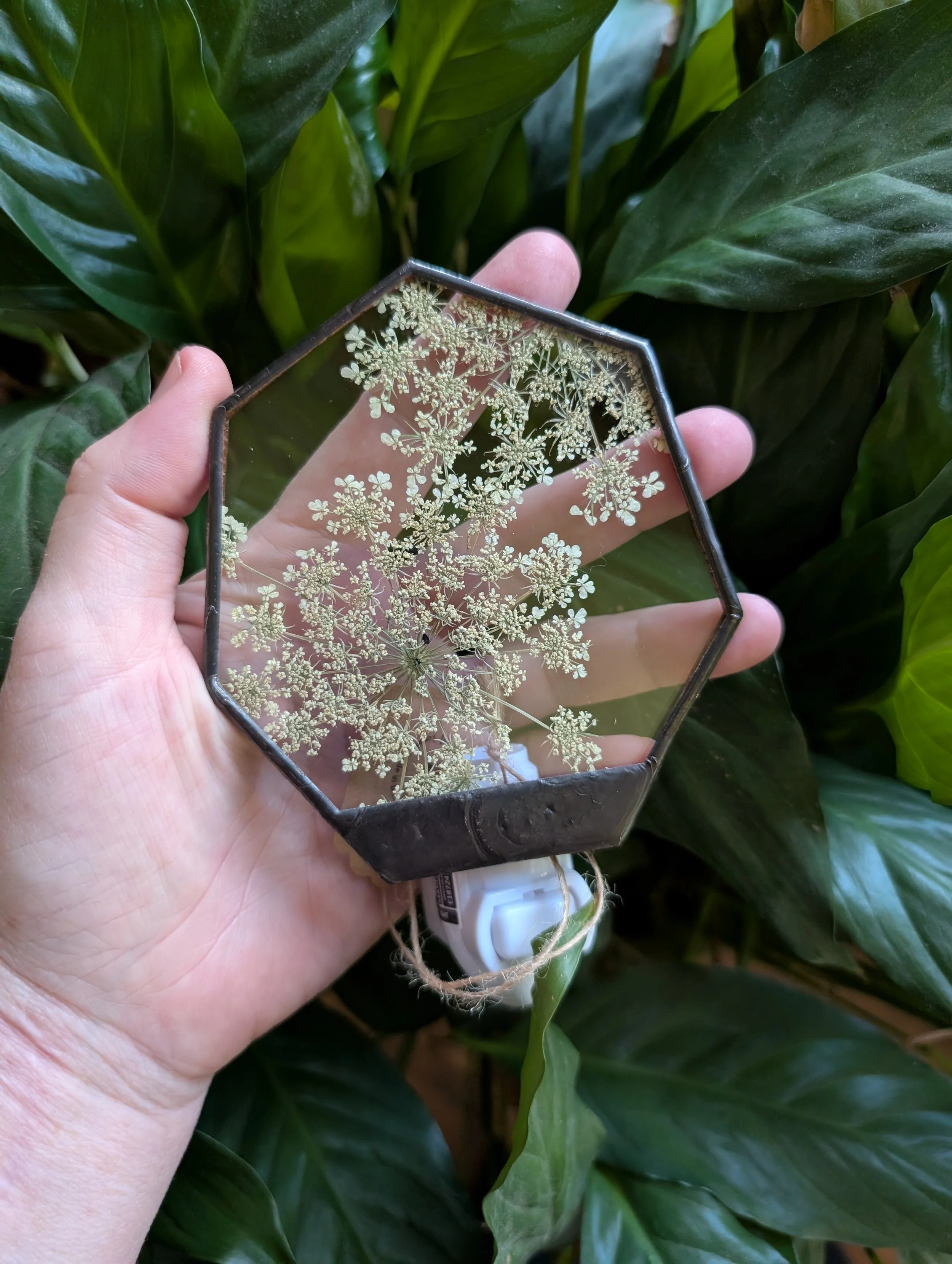 Glass Nightlight with Pressed Queen Anne's Lace