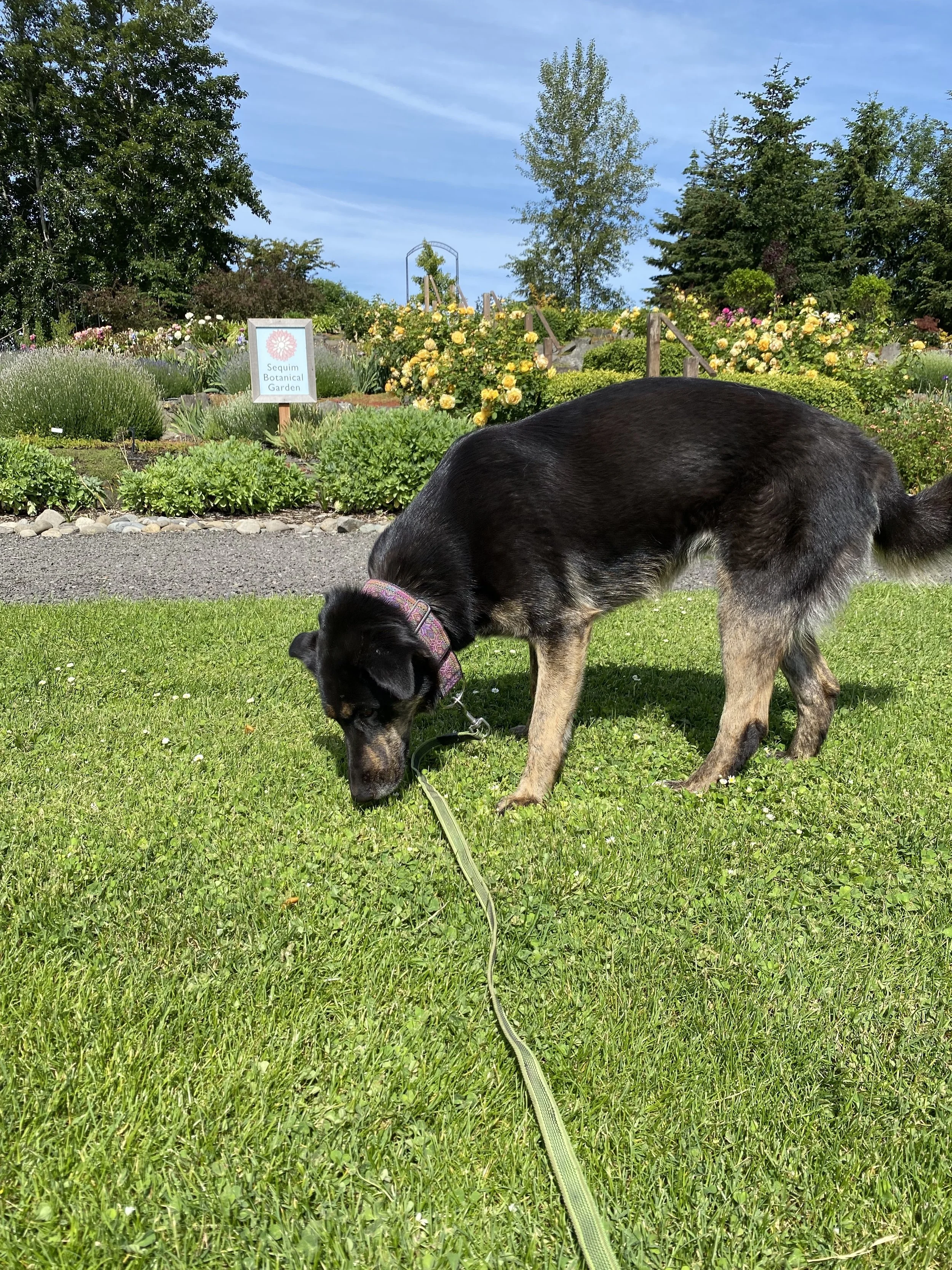 Arousal &amp; Reactivity