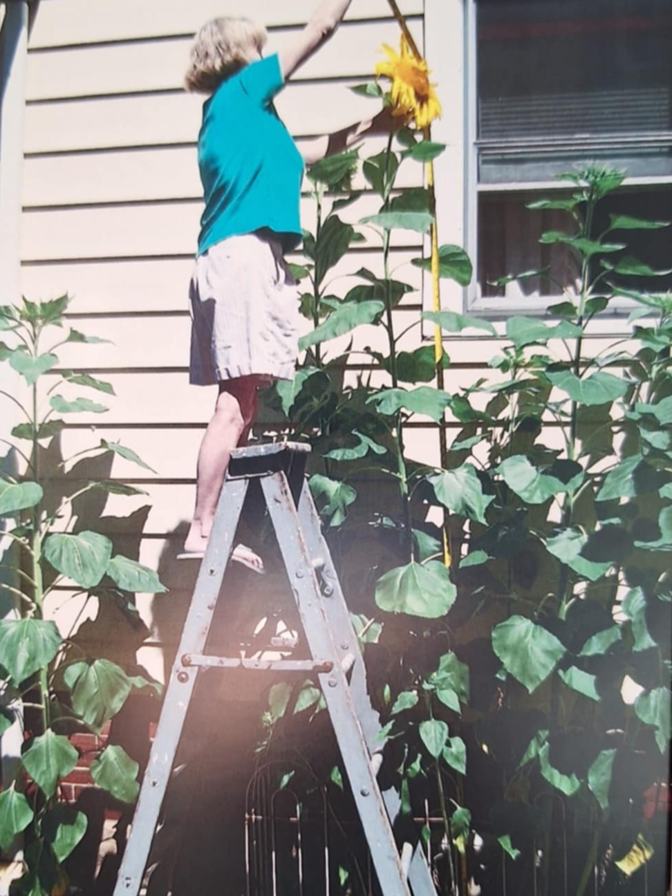 Fire to refine the human heart 