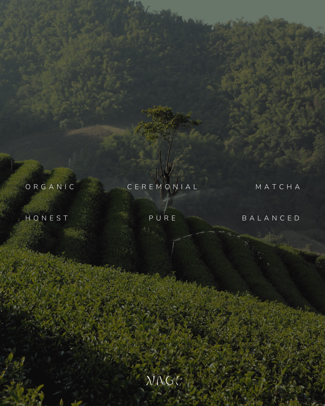 Nagi matcha brand identity