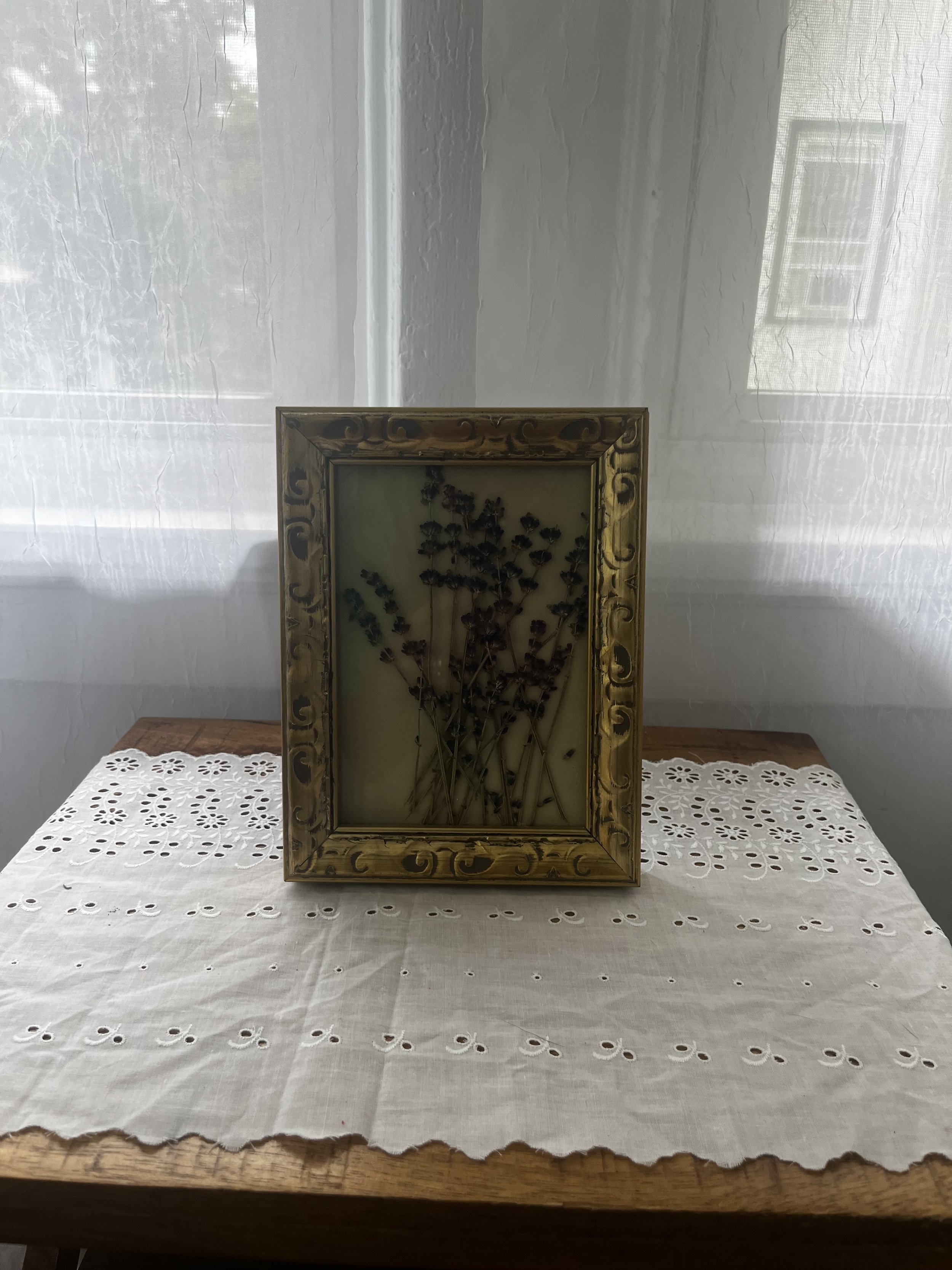 Gold Framed Dried Lavender