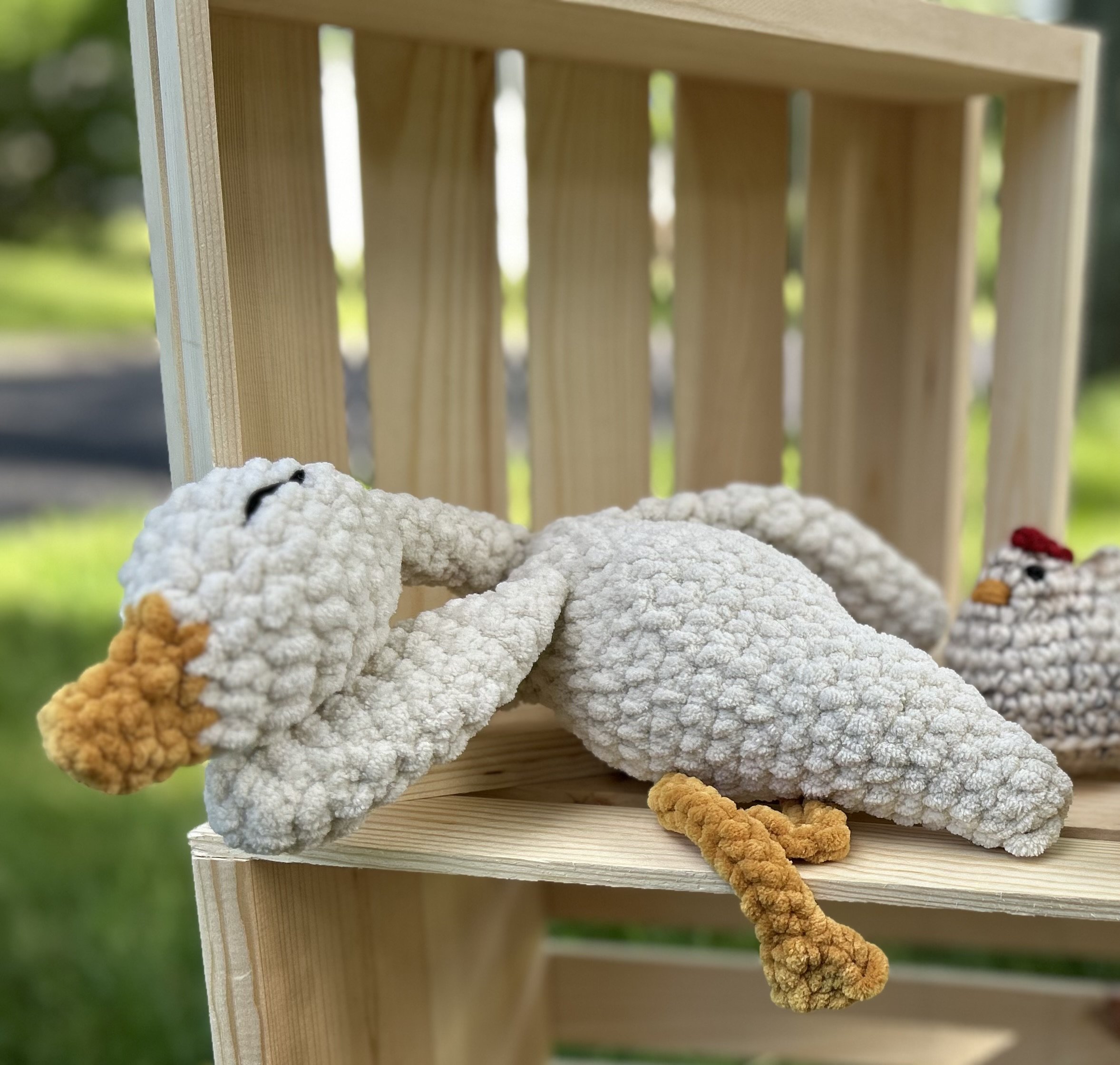 Sleeping Duck