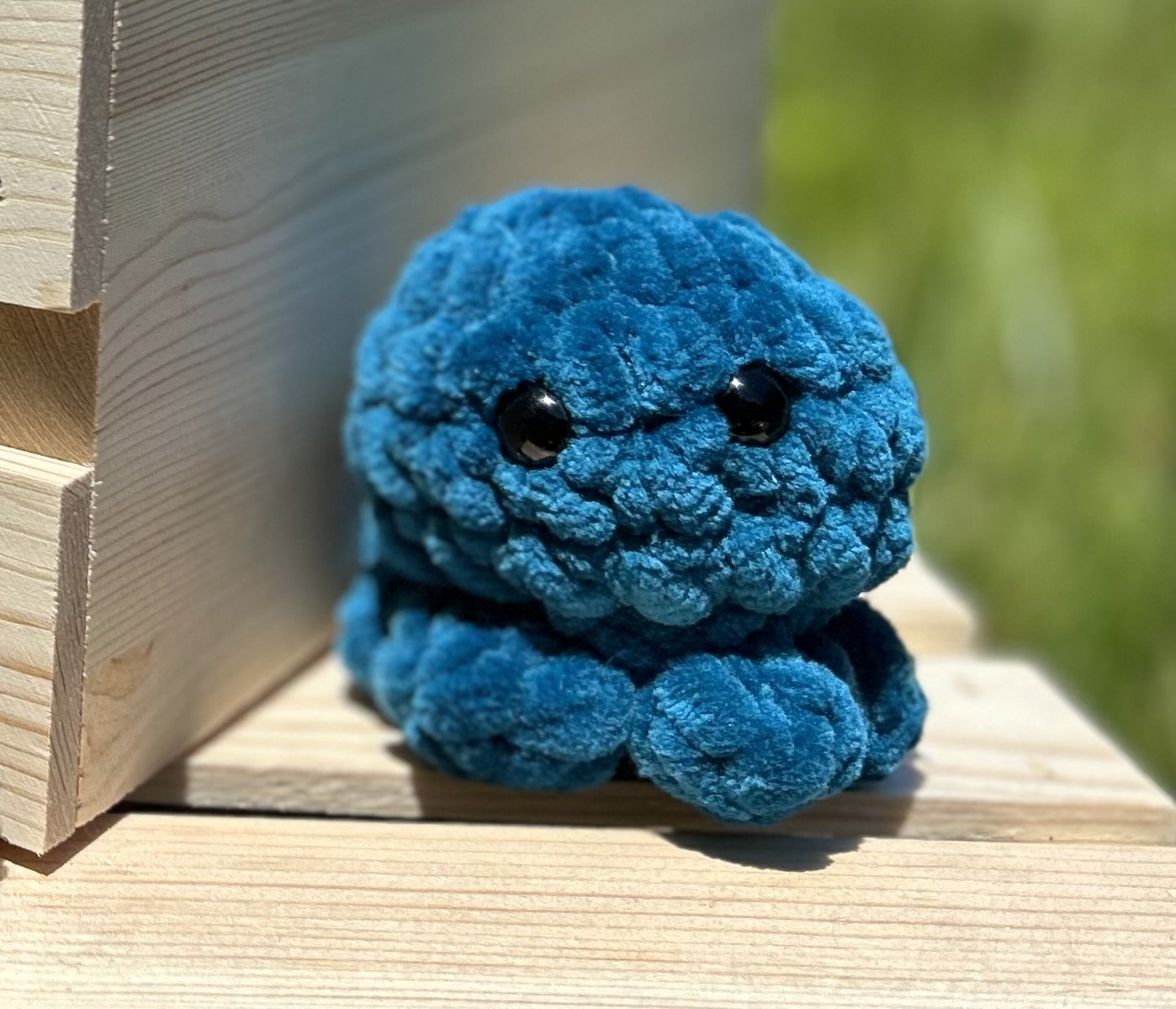 Octopus