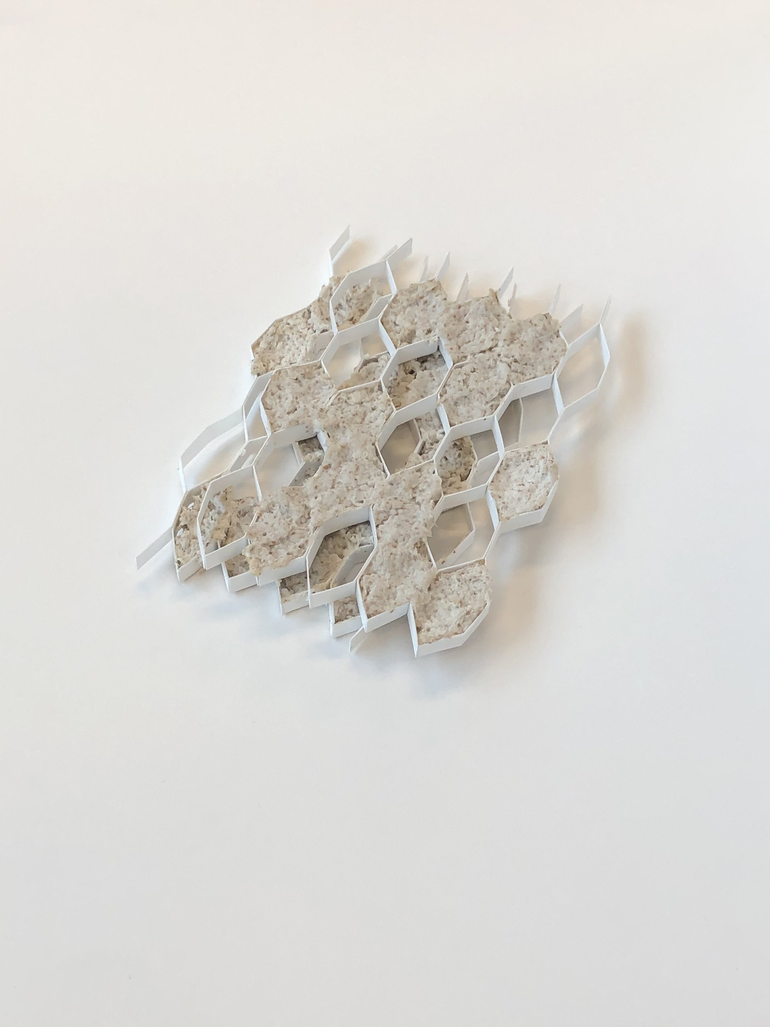 A3_Hypothesis_model_02.jpg