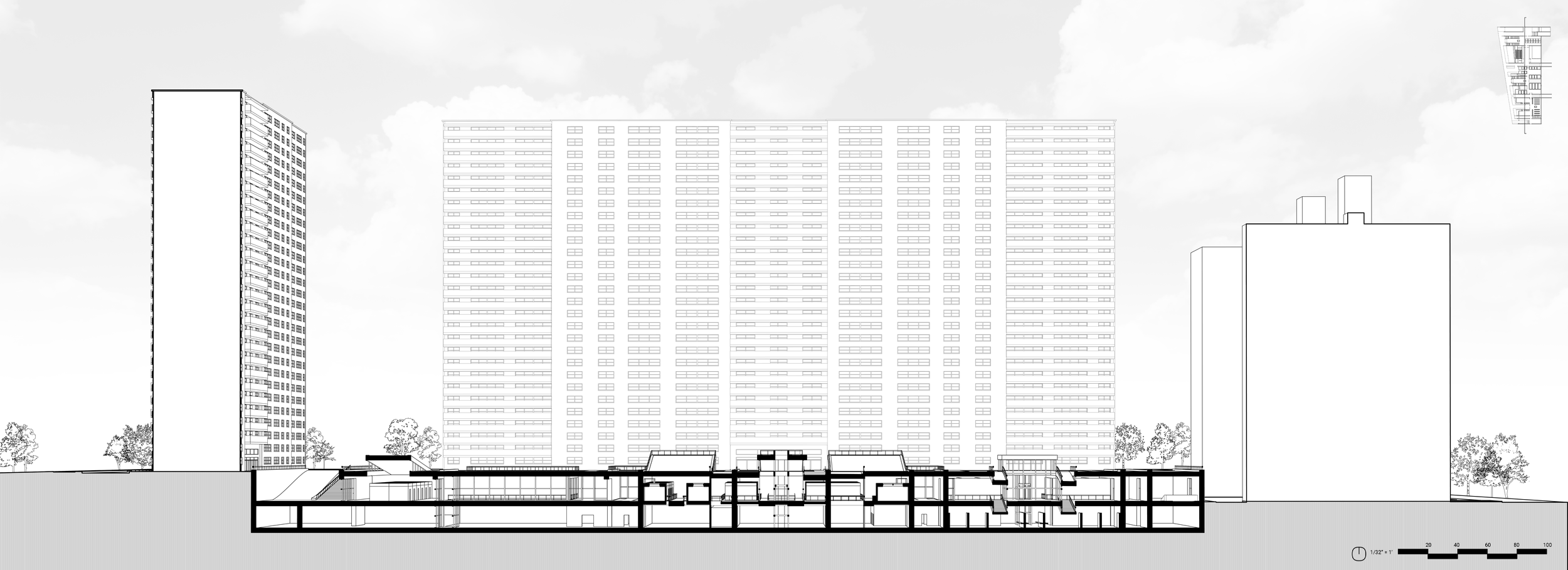 Longitudinal Section.png