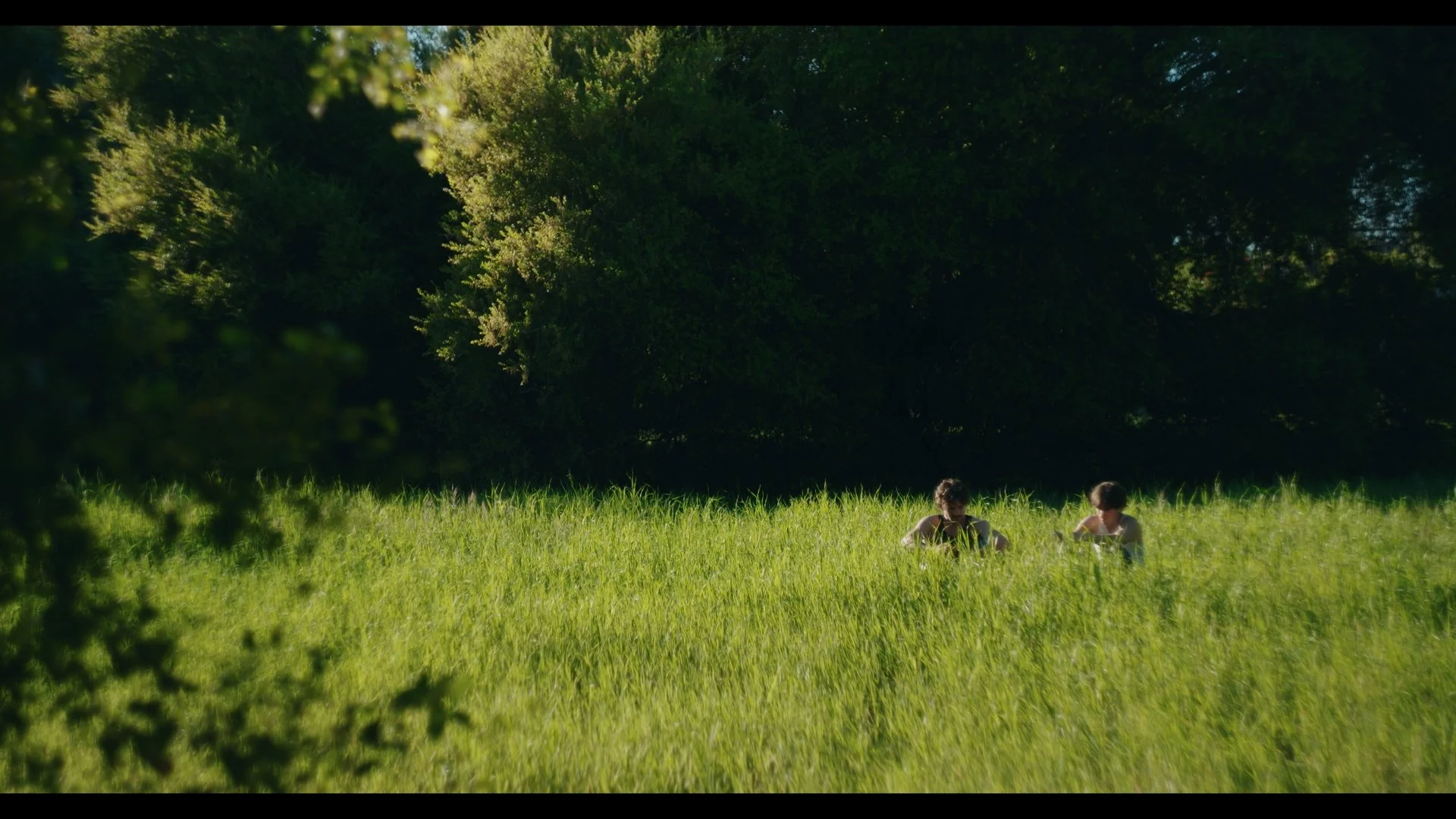 Timeline 1_01_00_35_14.jpg