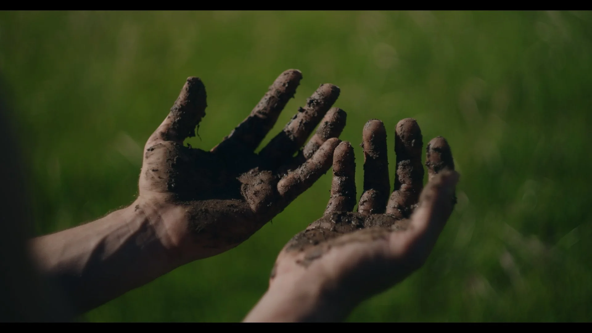 Timeline 1_01_00_11_18.jpg