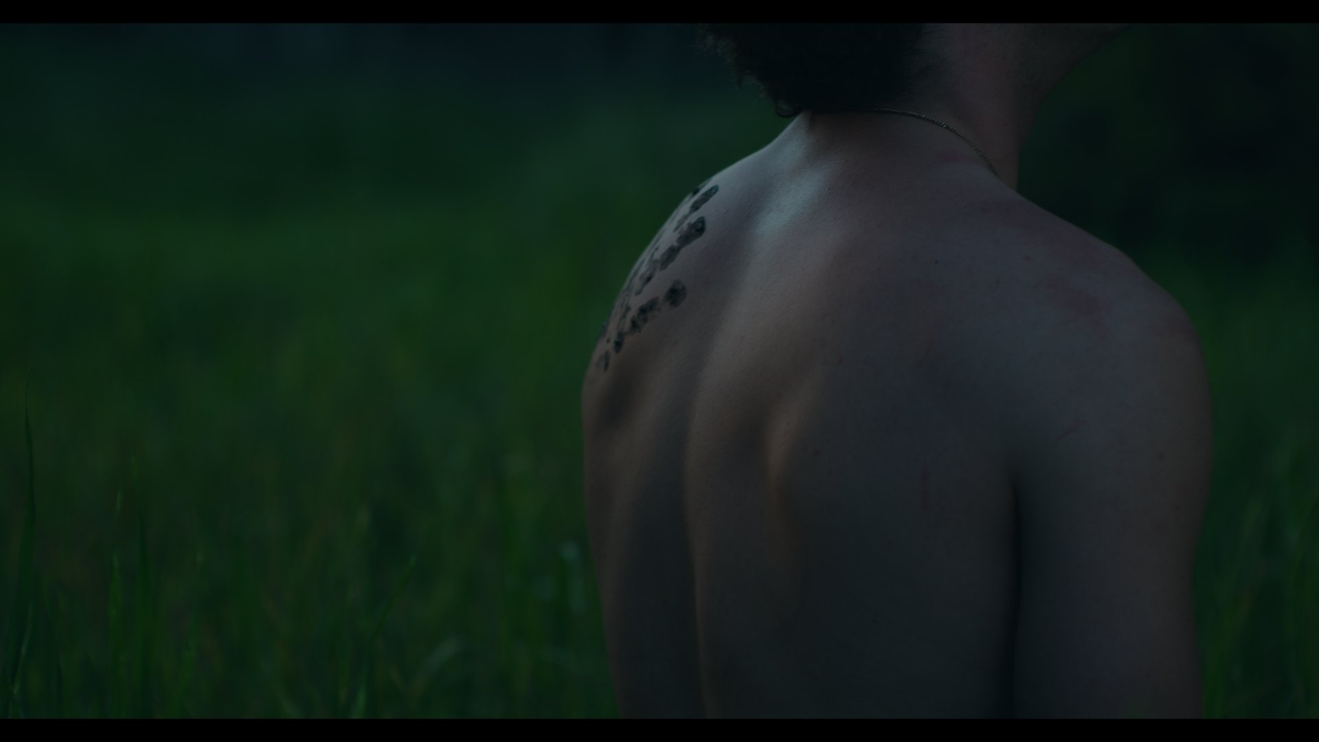 Timeline 1_01_04_12_21.jpg