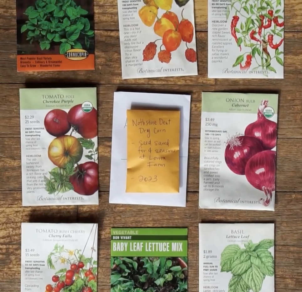 Community Seed Swap &amp; Potluck