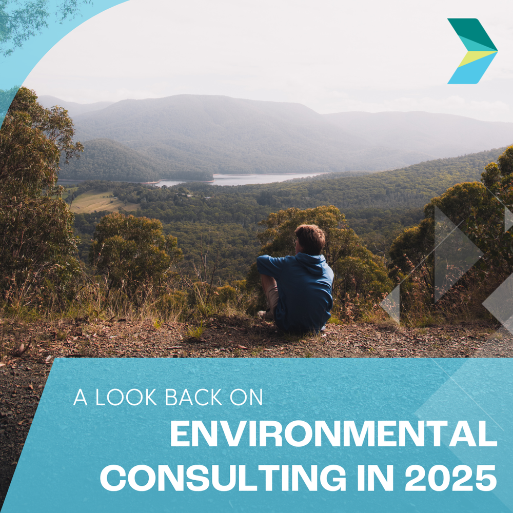 A look back on environmental consulting in 2025 — Onward Consulting Pty Ltd