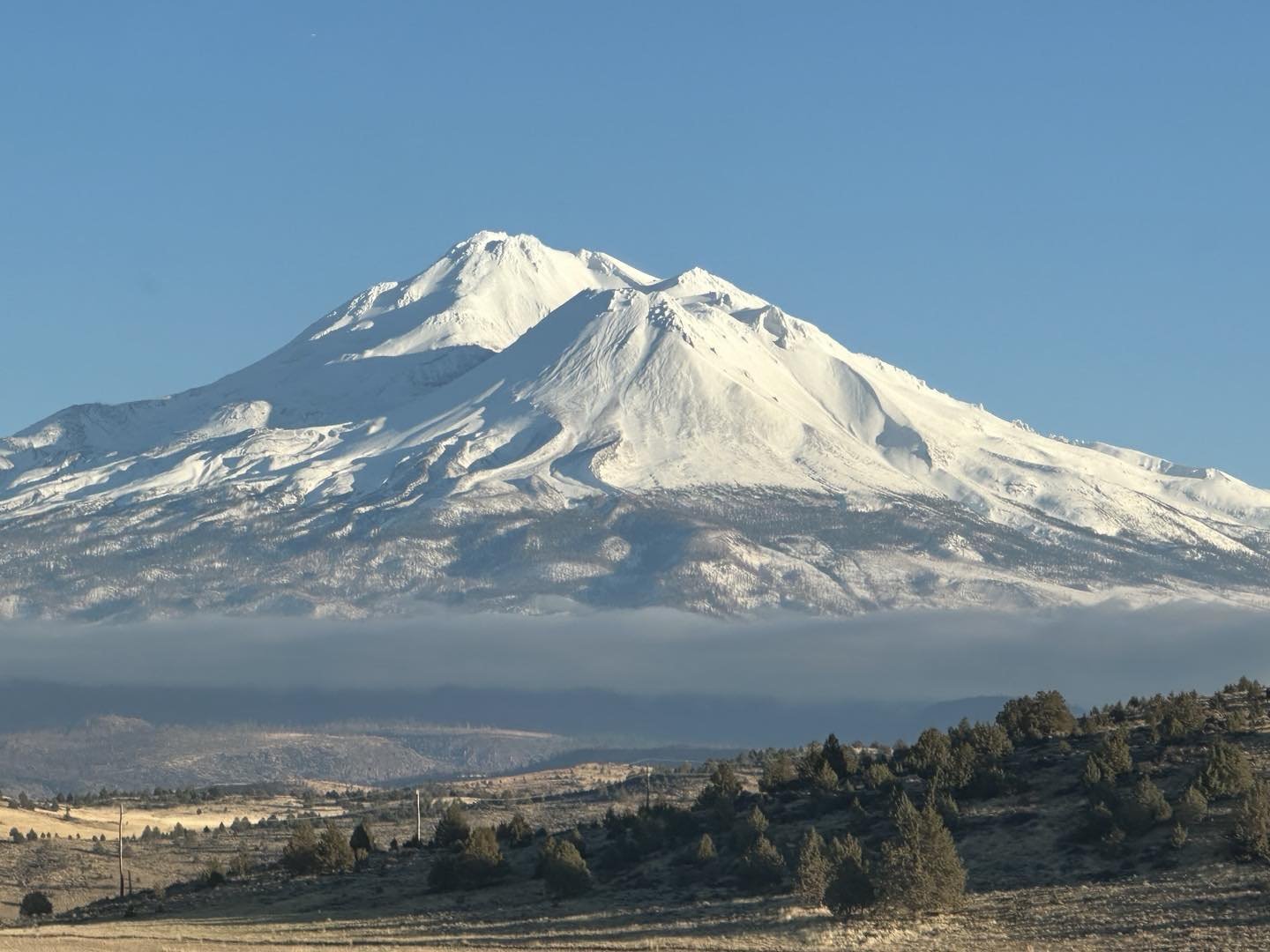 Mt Shasta