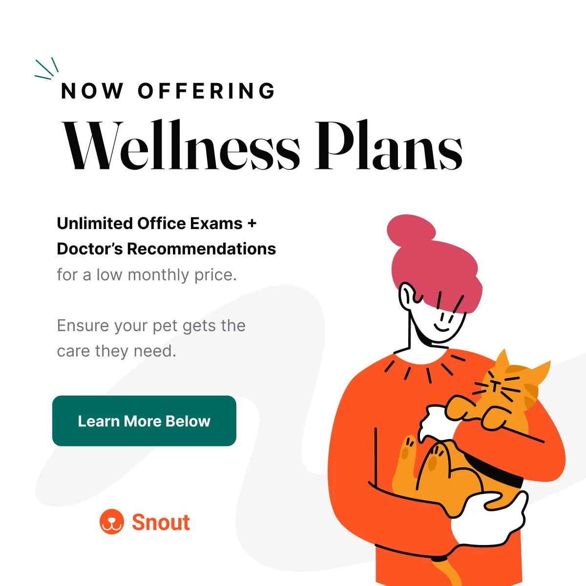Advertisement promoting wellness plans that include unlimited office exams and doctor’s recommendations, with a call-to-action button 'Learn More Below', featuring an illustration of a person with pink hair holding an orange cat, on a white background with abstract shapes and the Snout logo at the bottom.