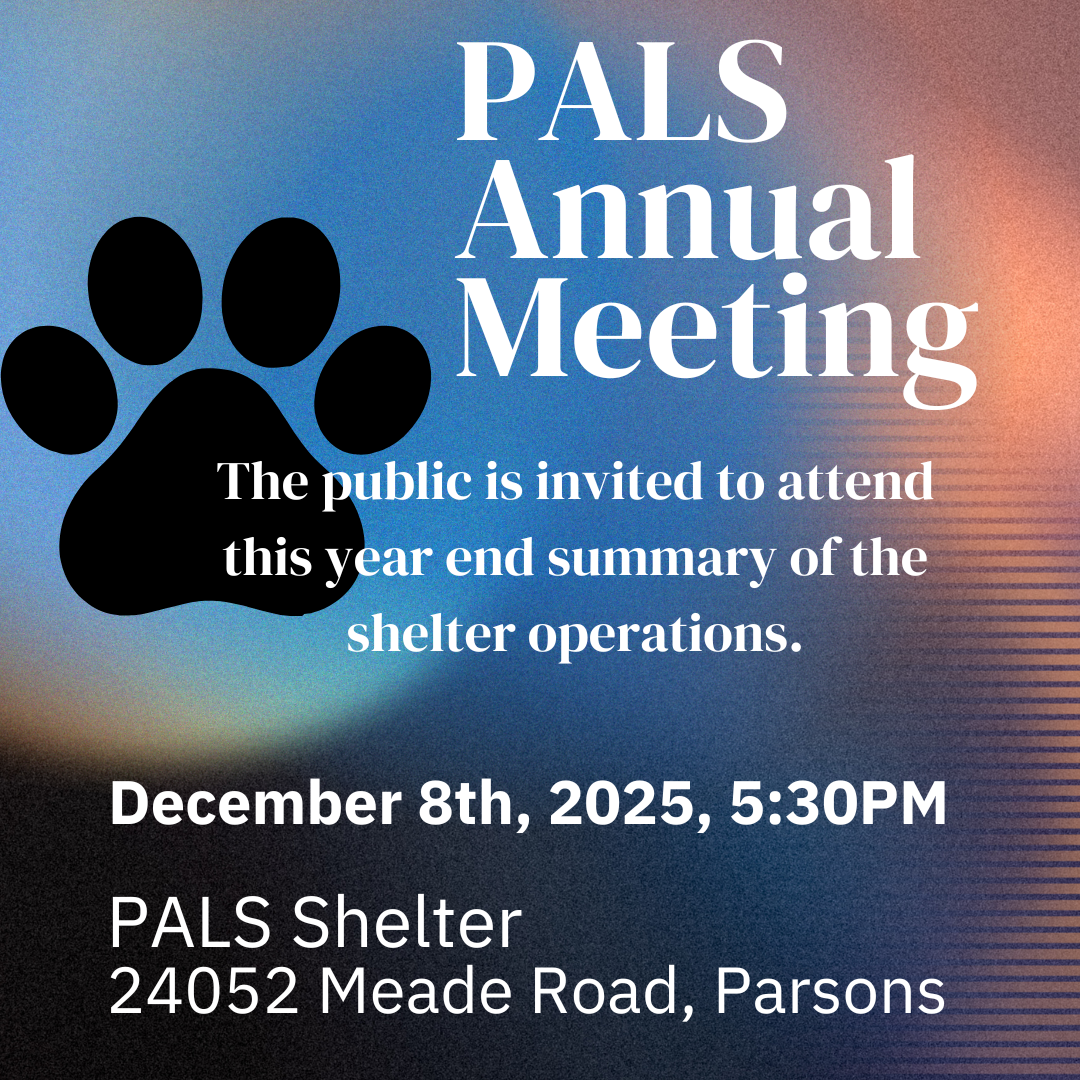 Annual Meeting